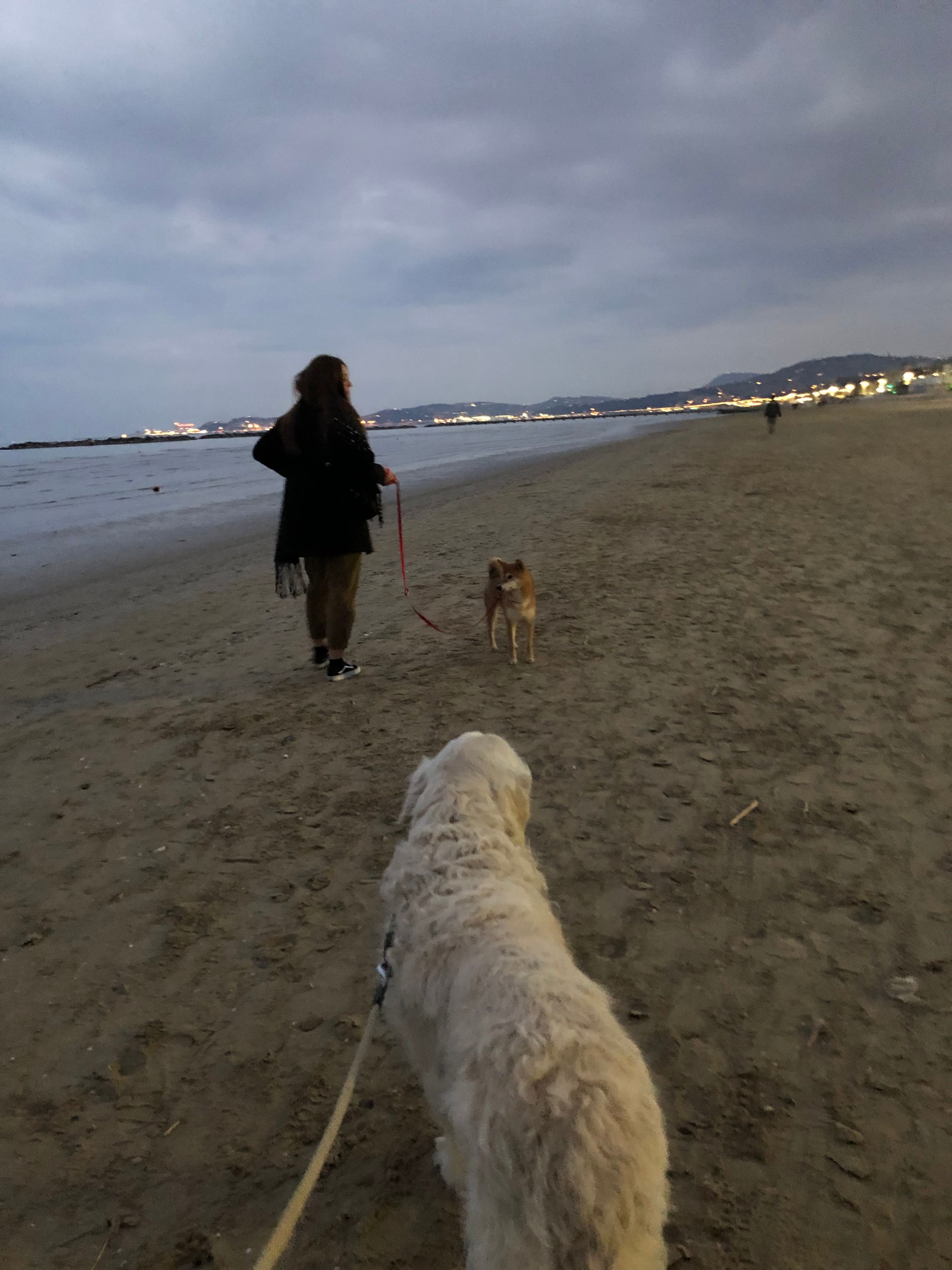 image-9