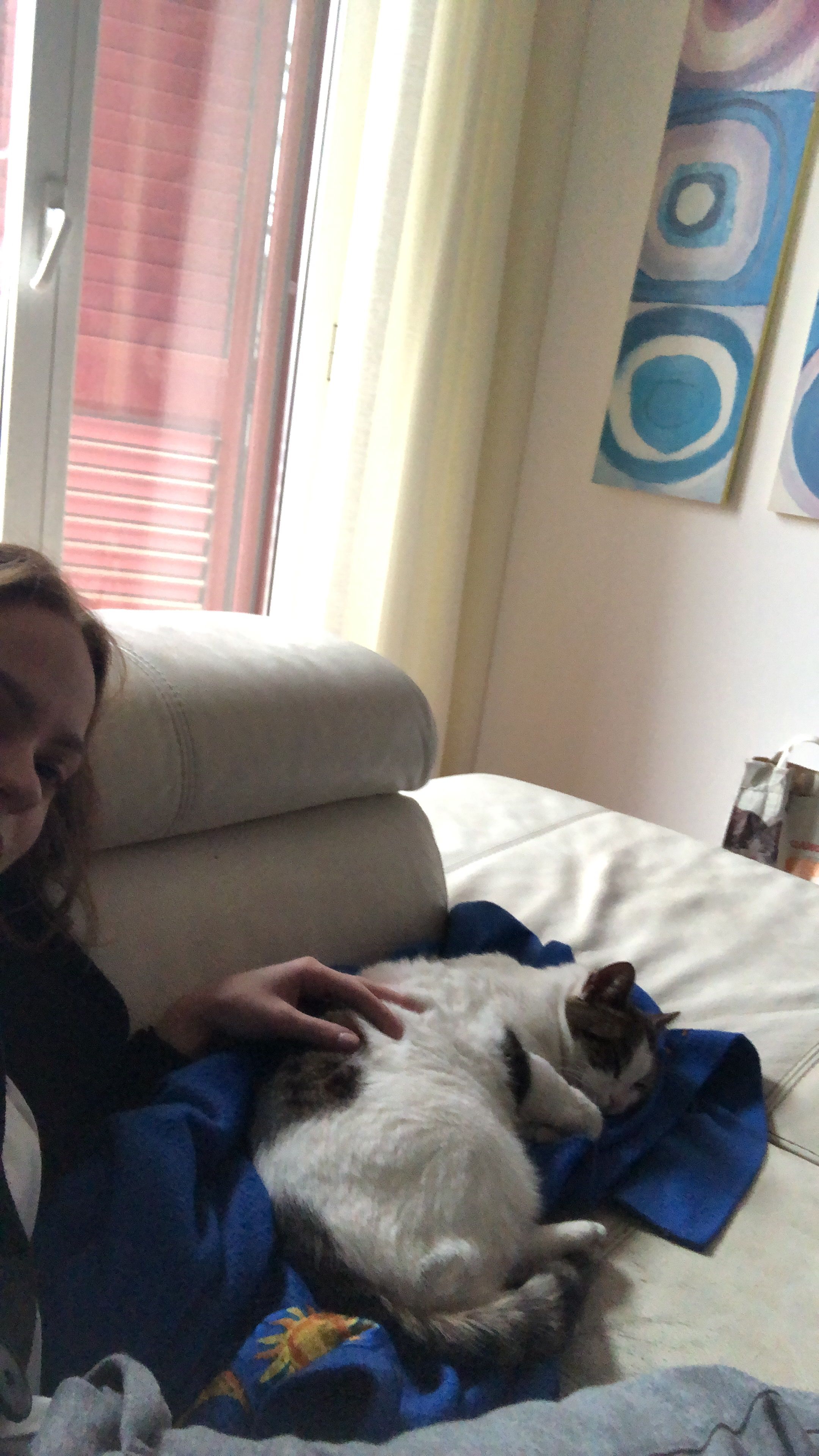 image-8