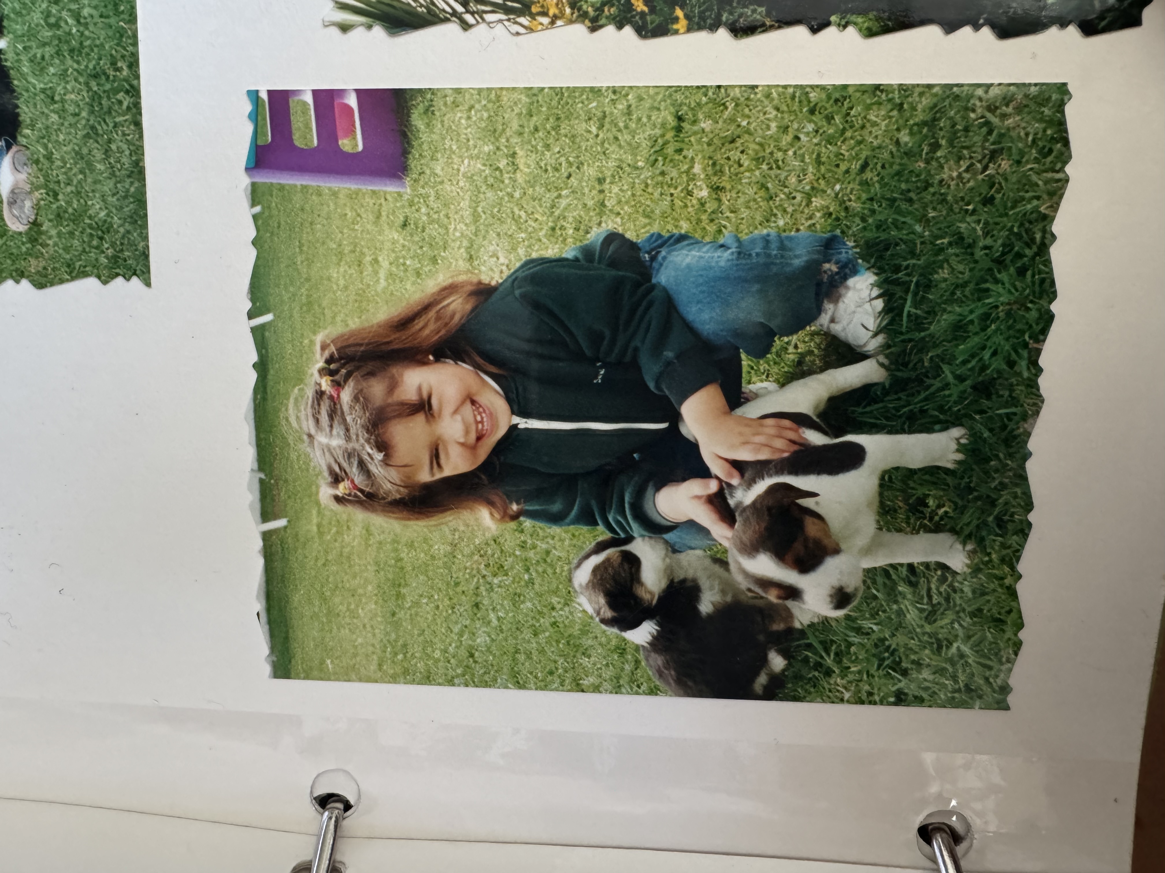 image-8