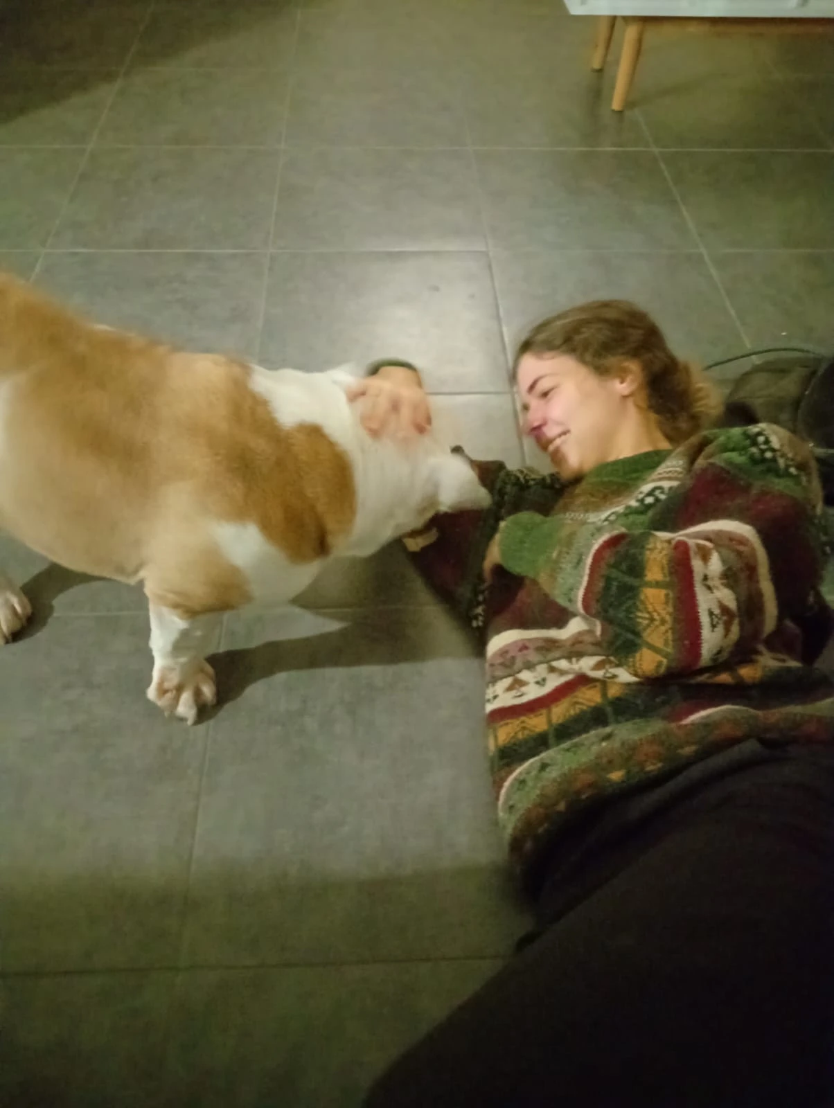 image-5