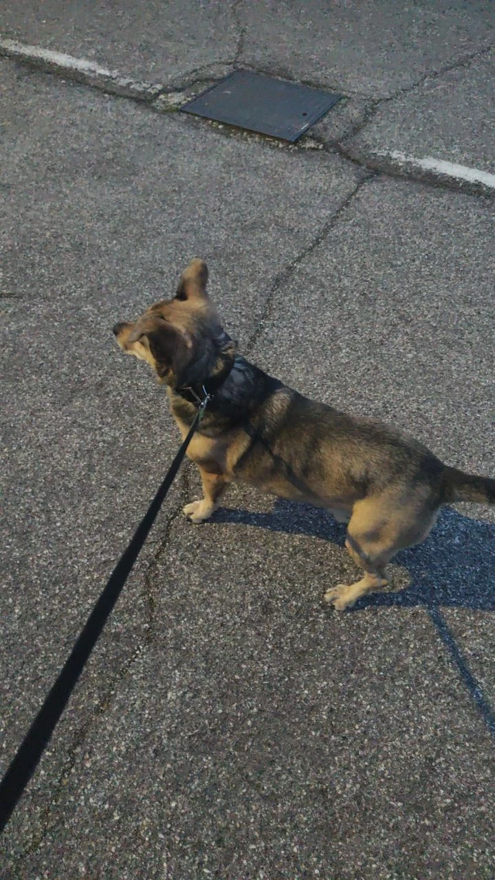 image-9