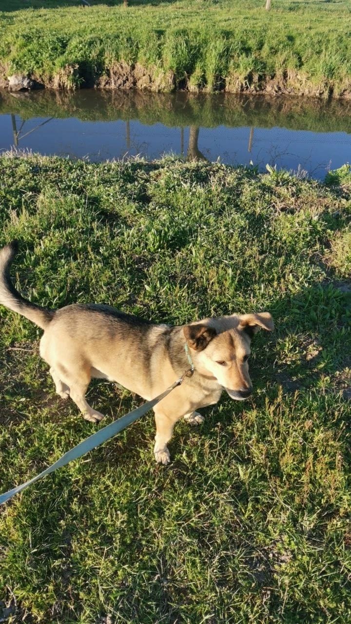 image-6