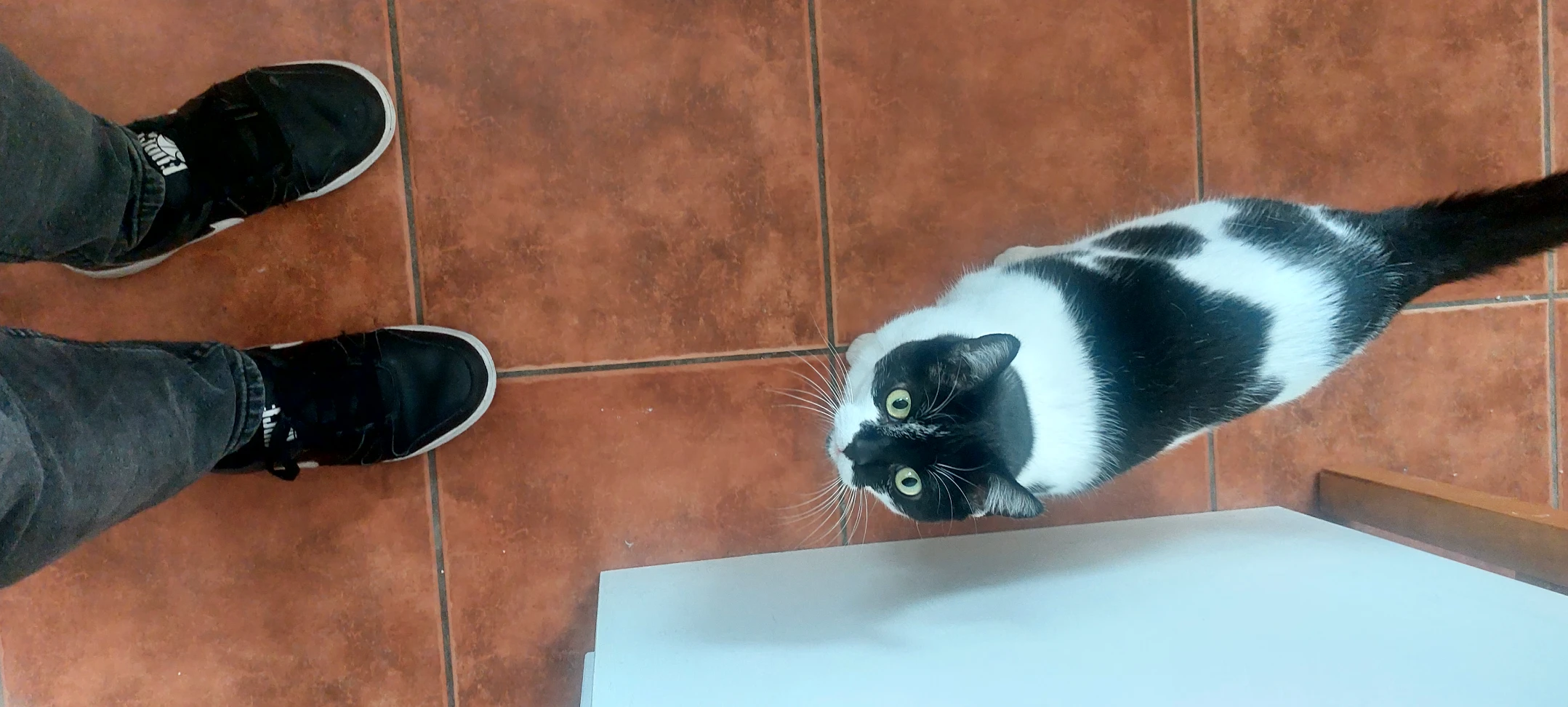 image-7