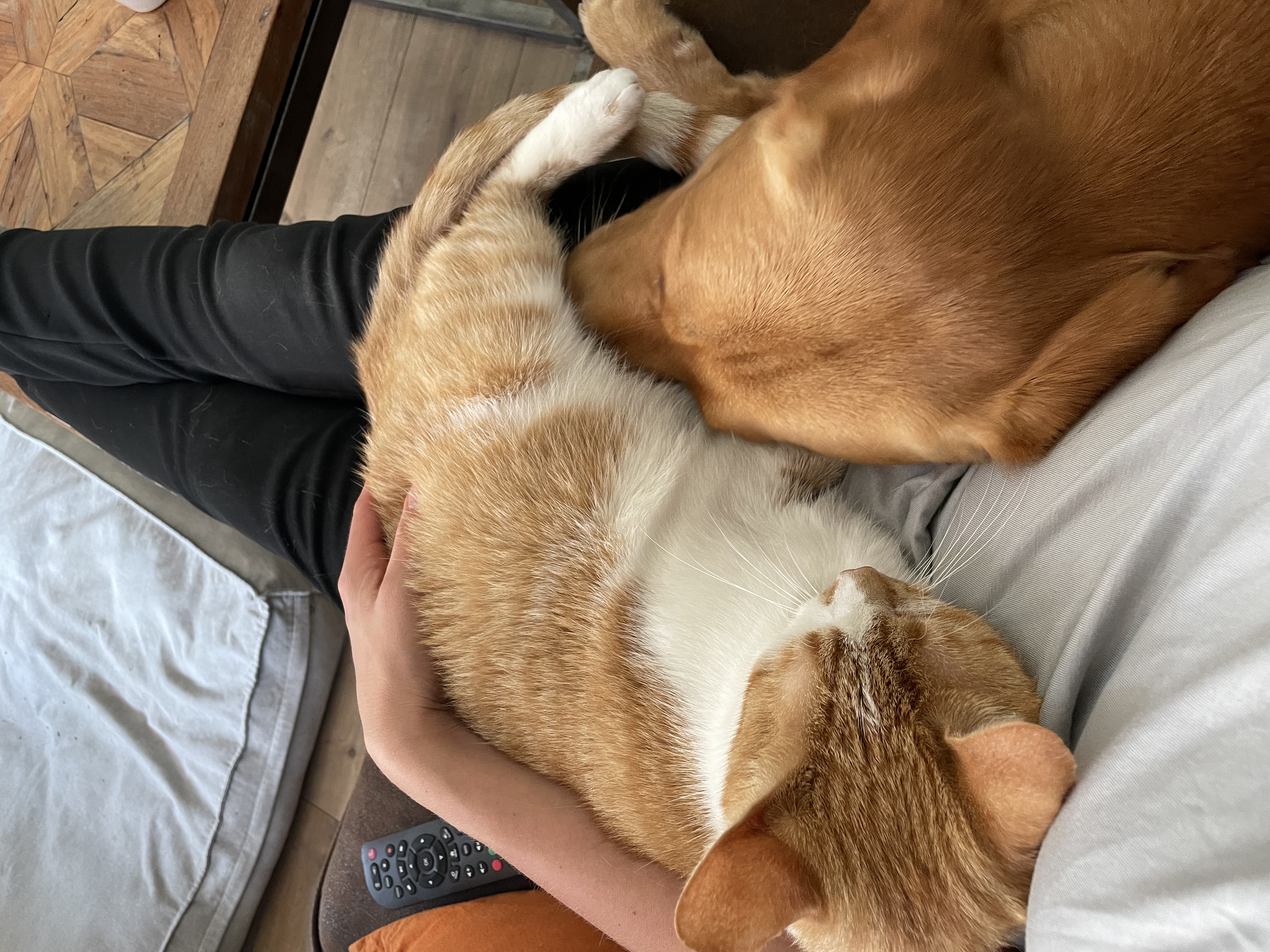 image-9