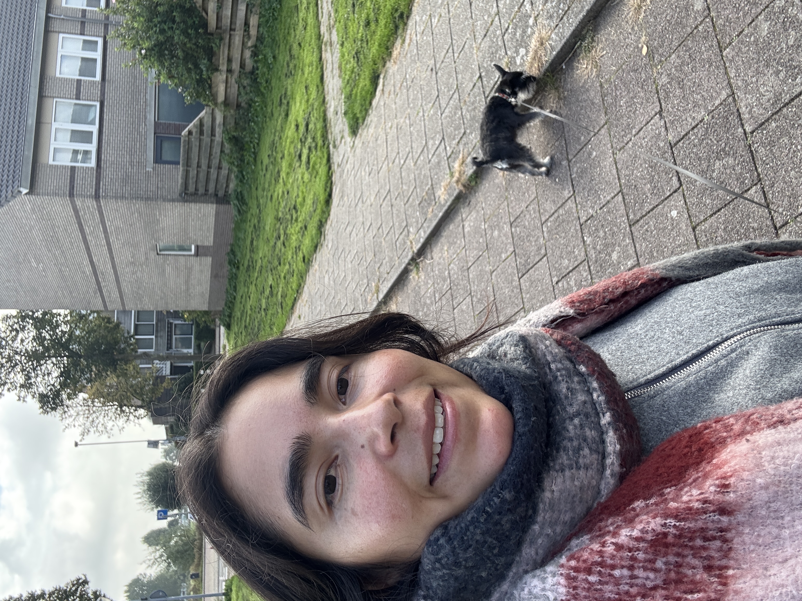 image-7