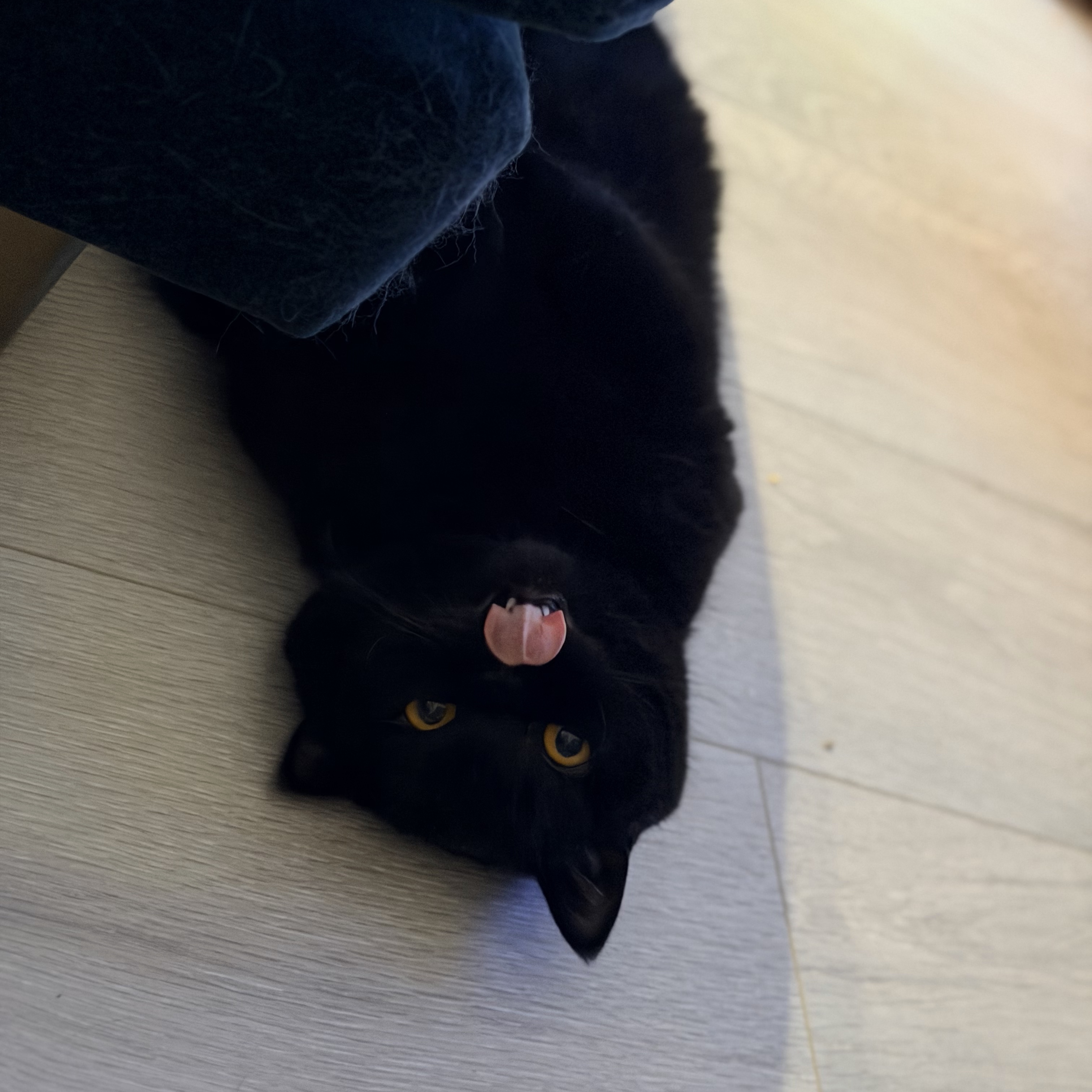 Yawn 