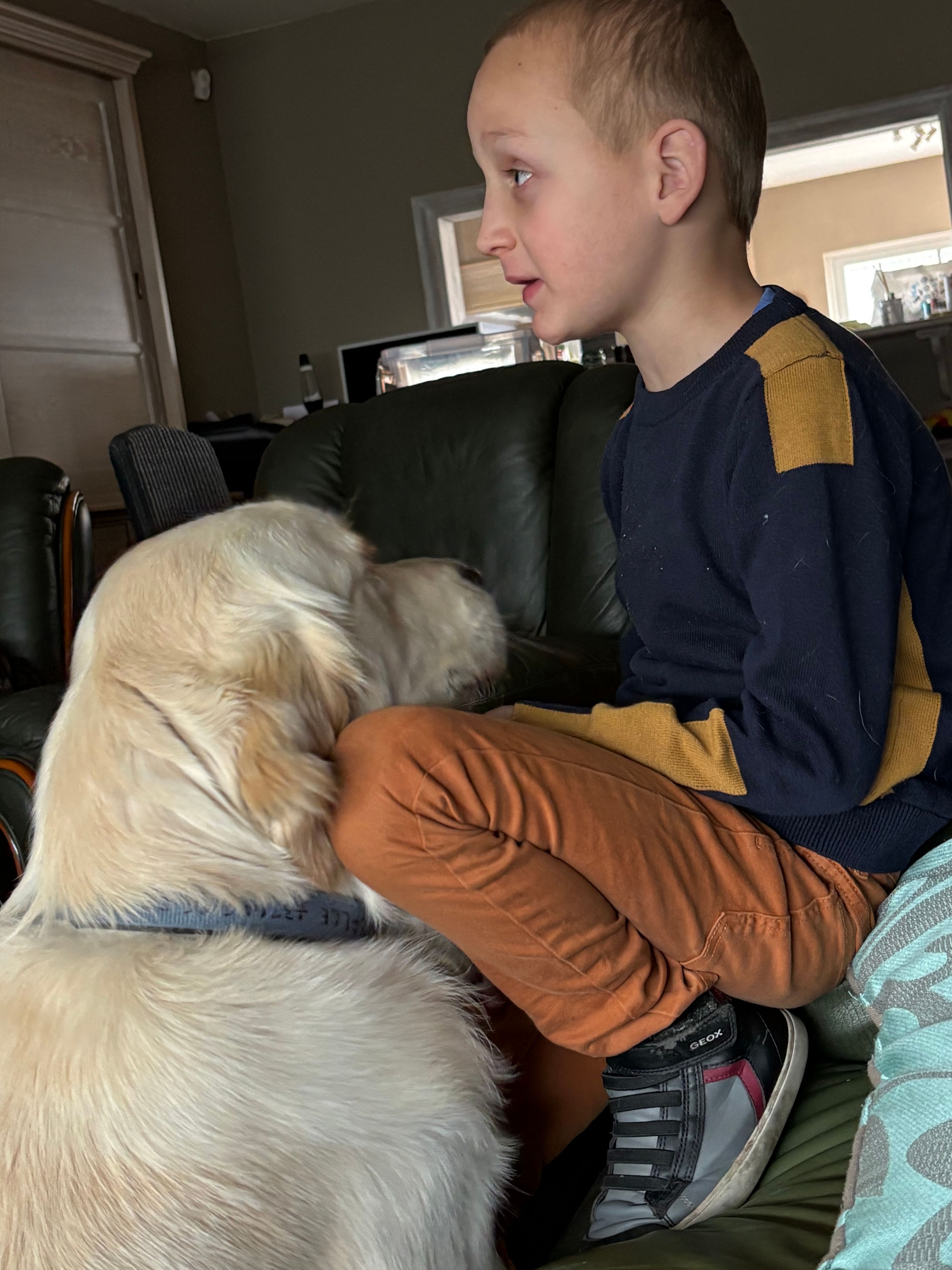 image-28