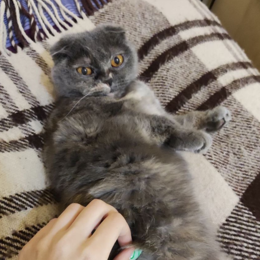 Sarah