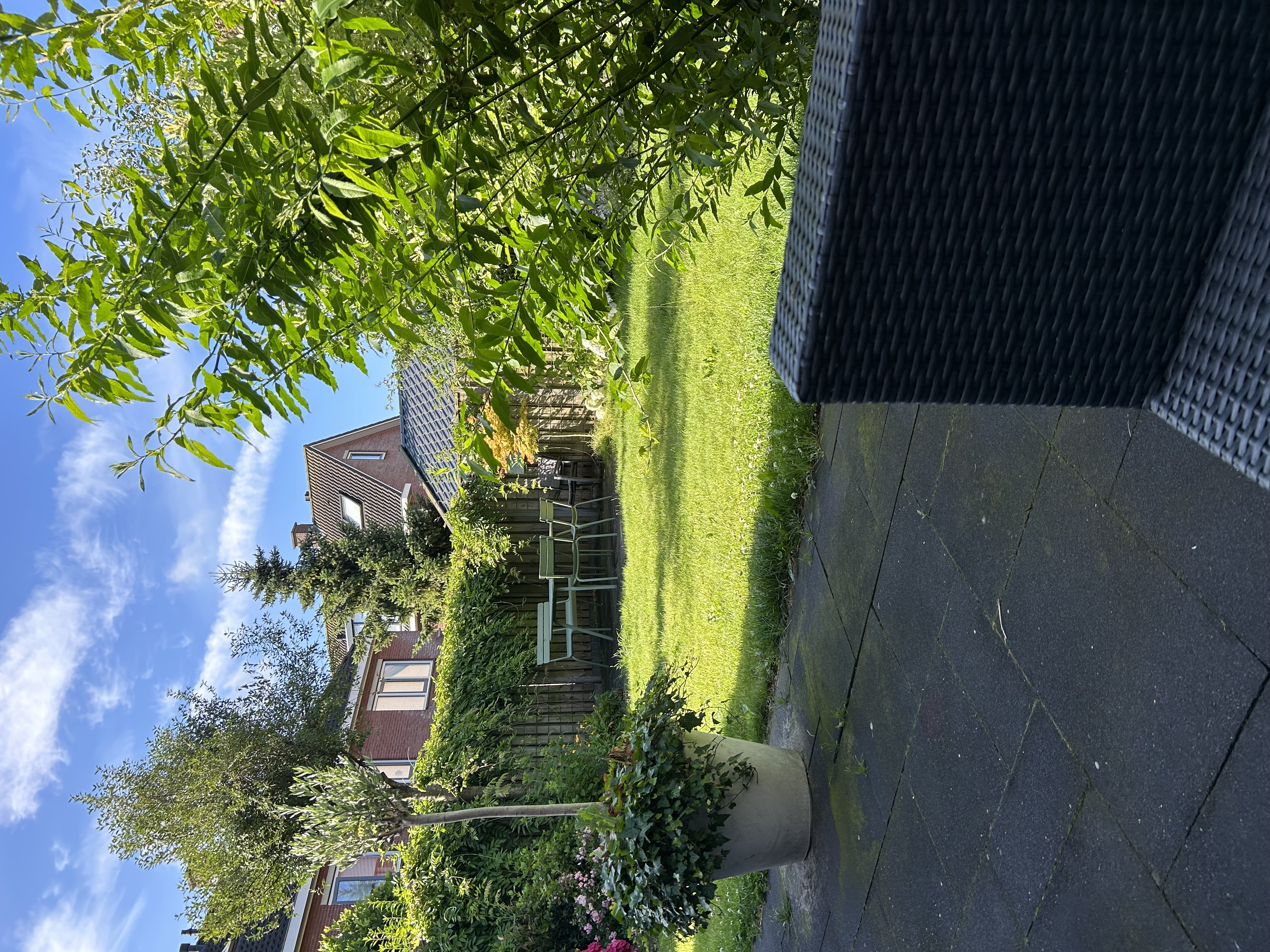 image-16