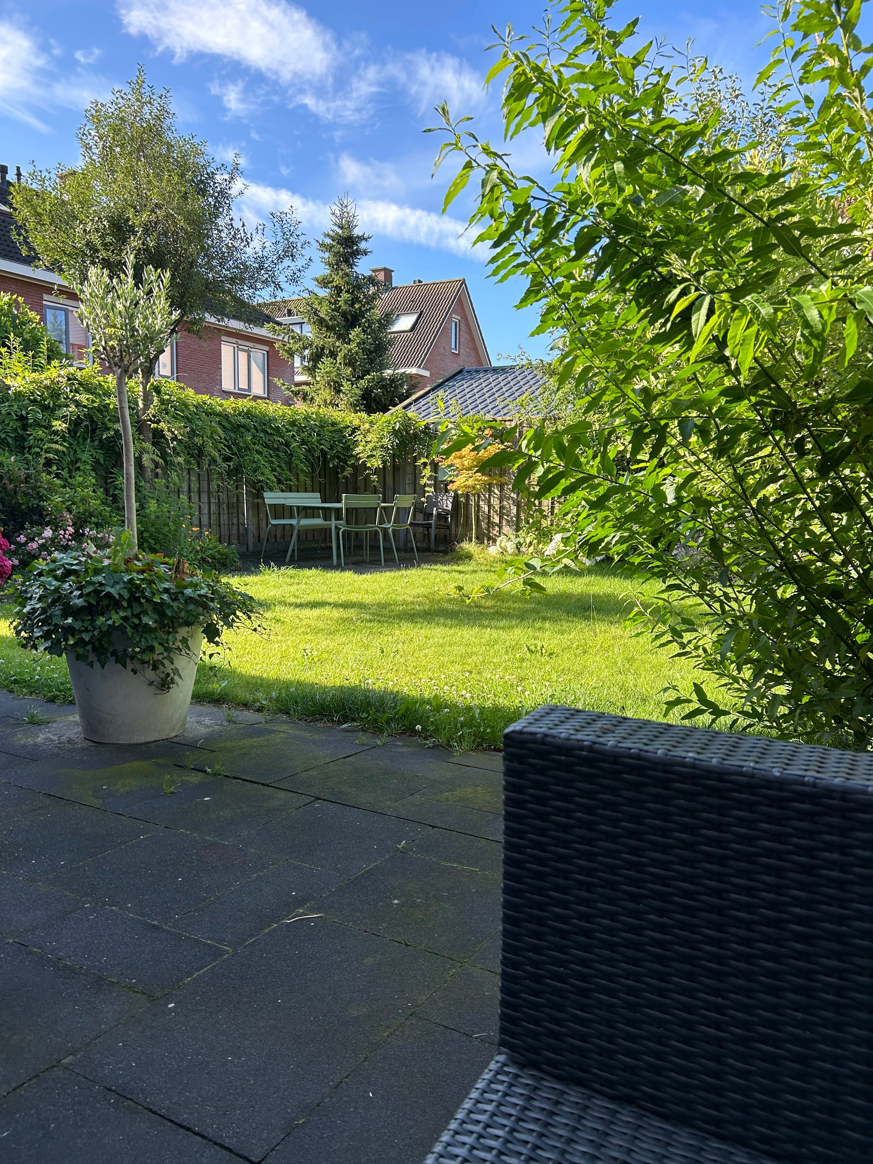 image-16