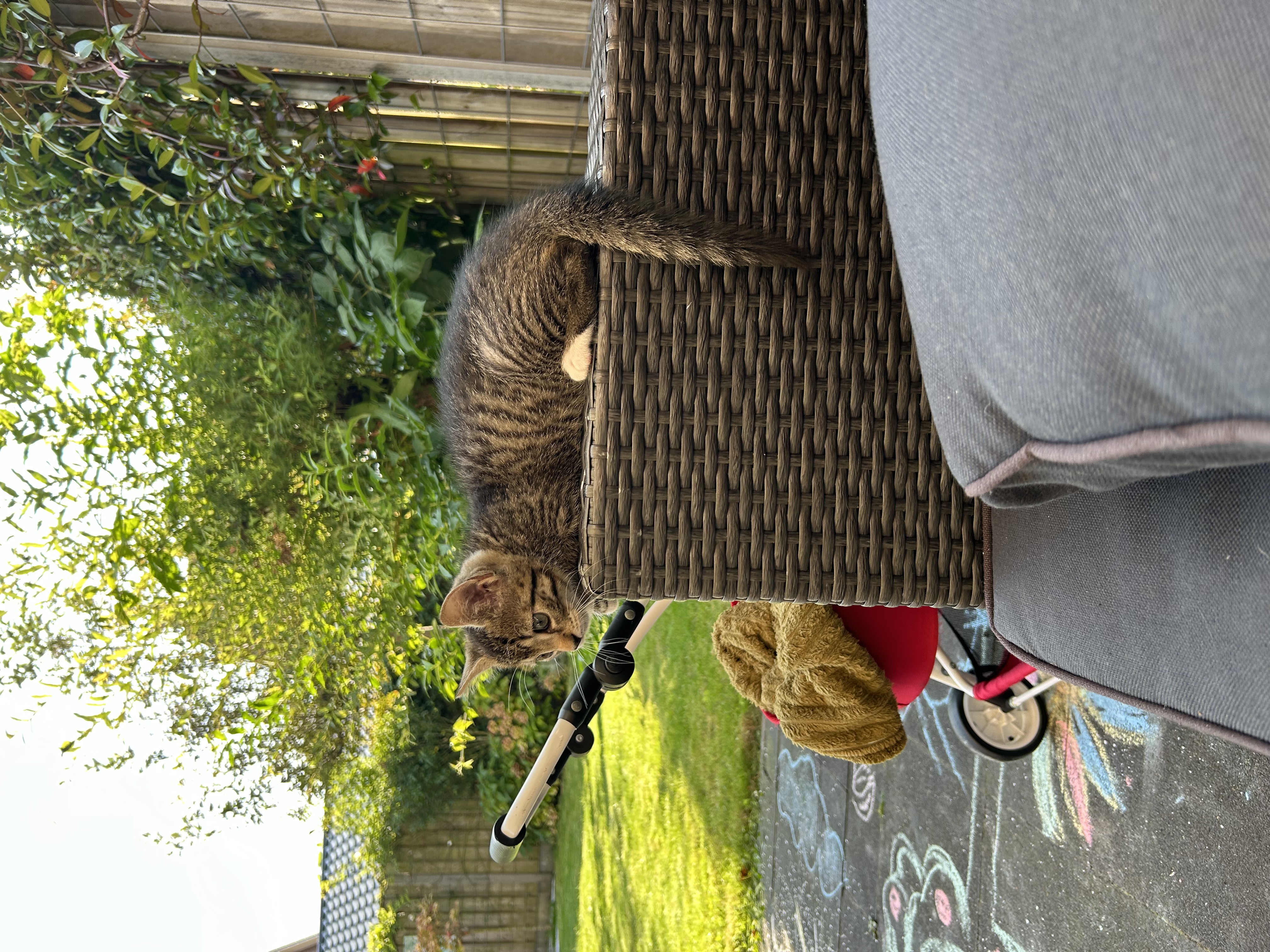 image-12