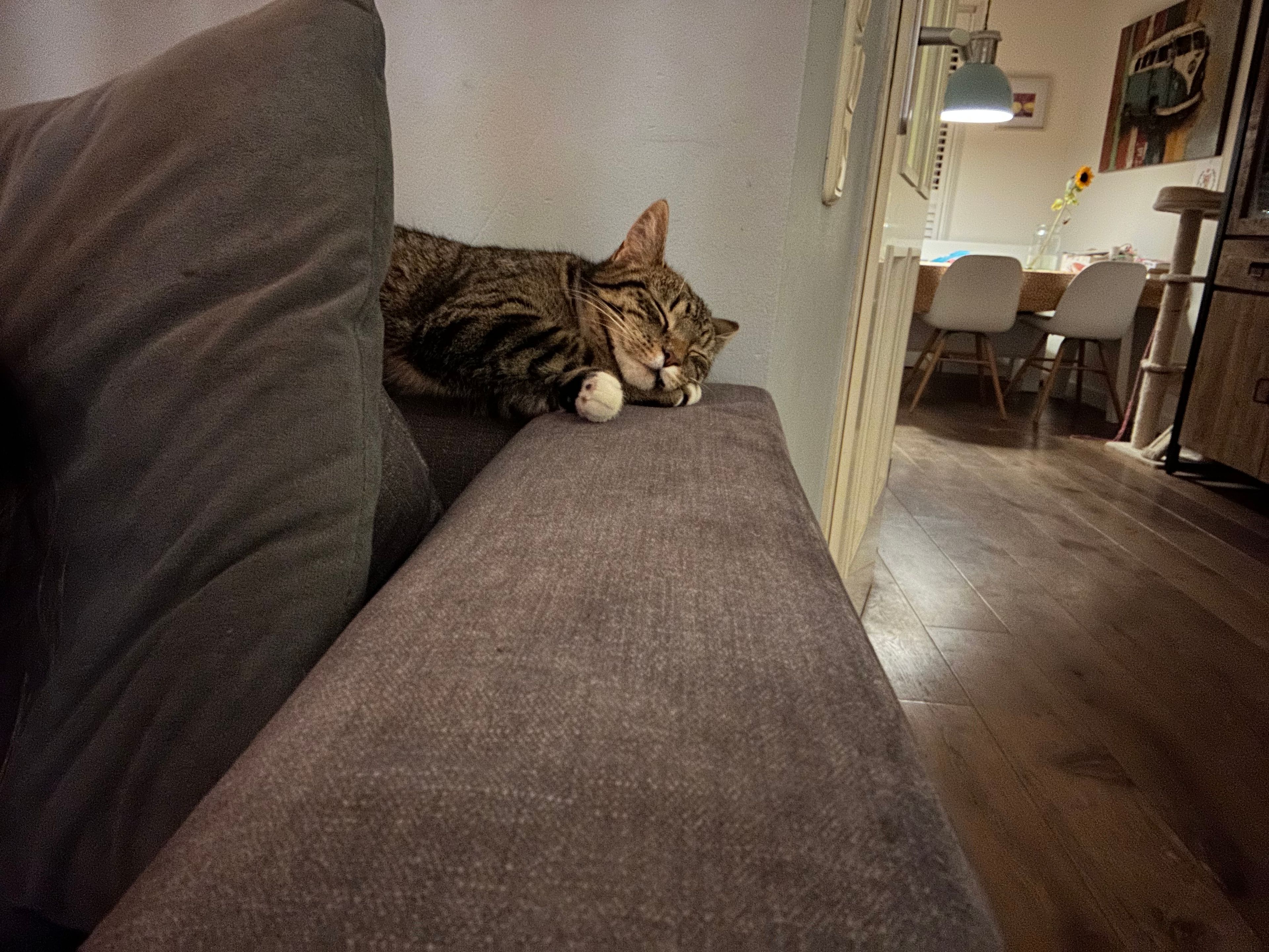 image-11
