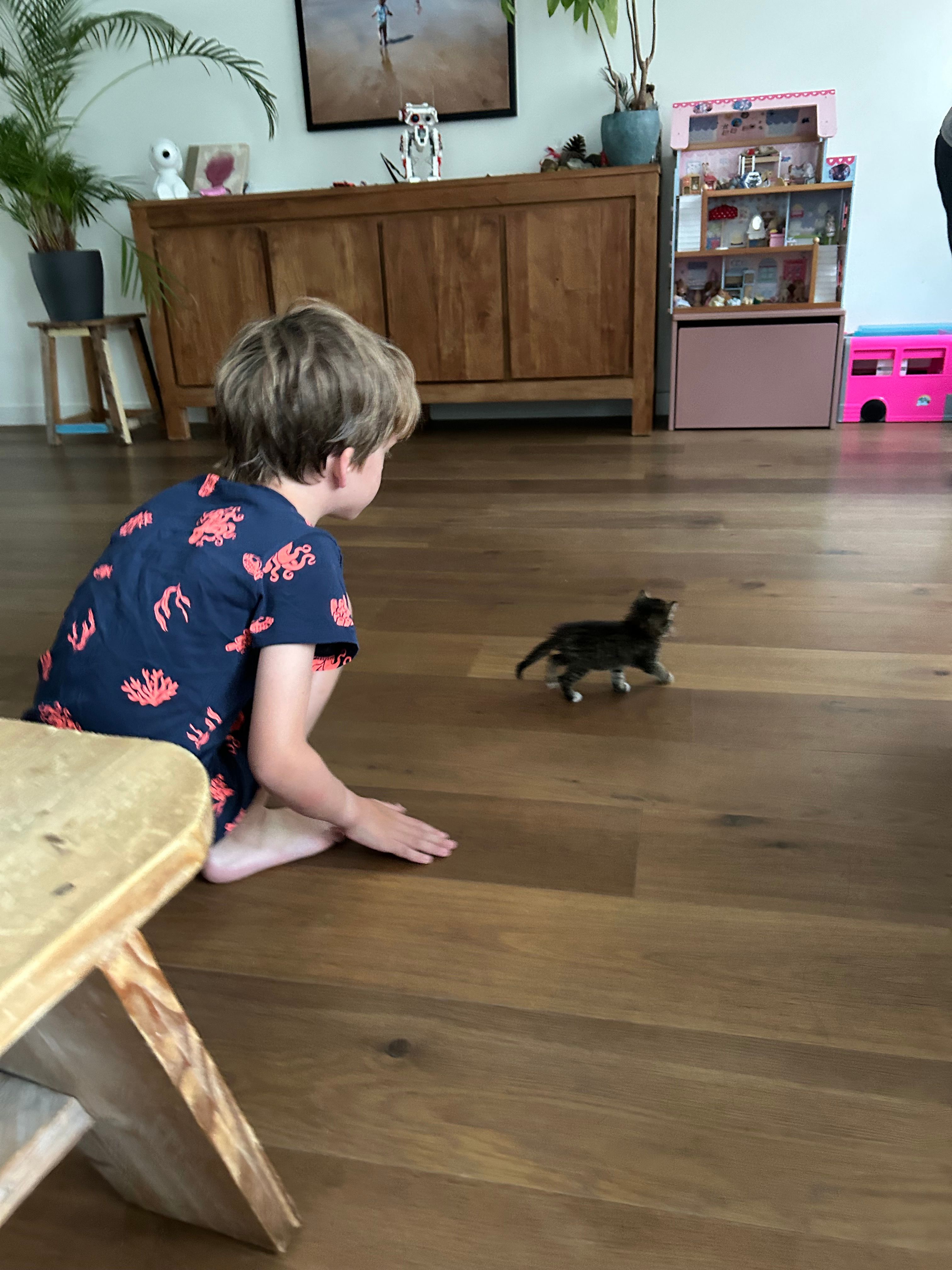image-14