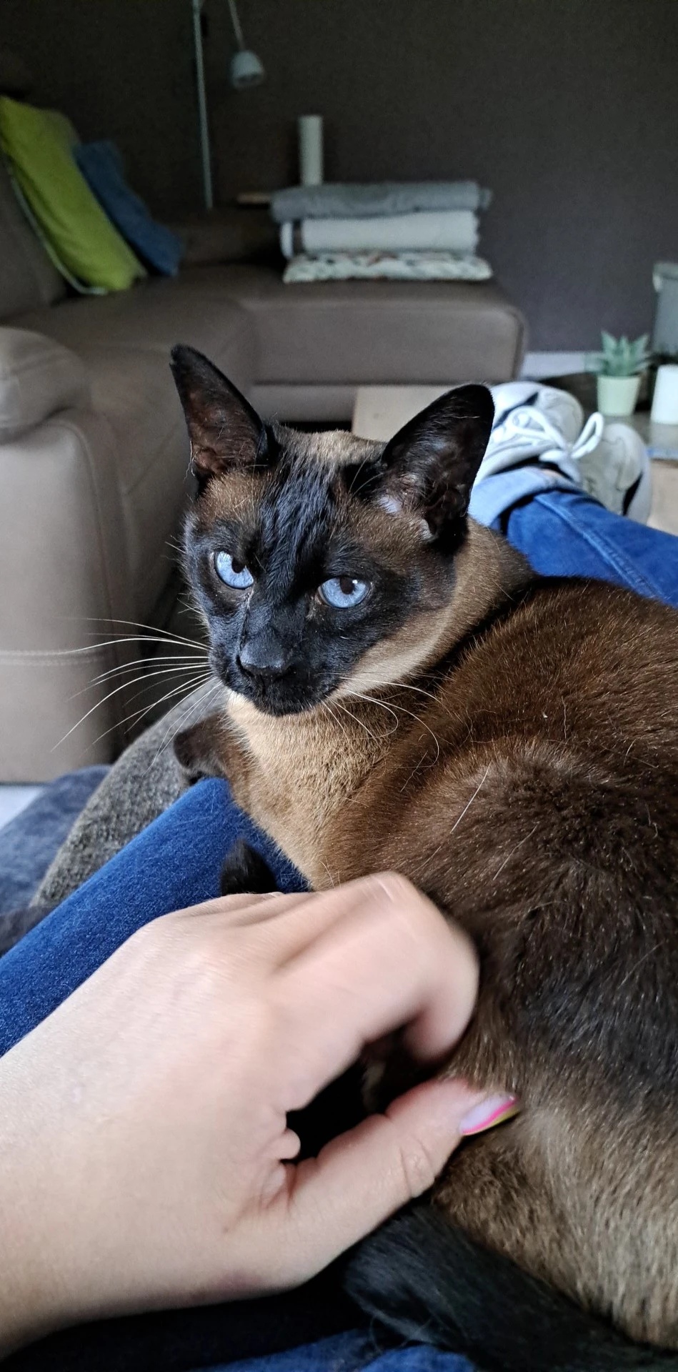 image-10