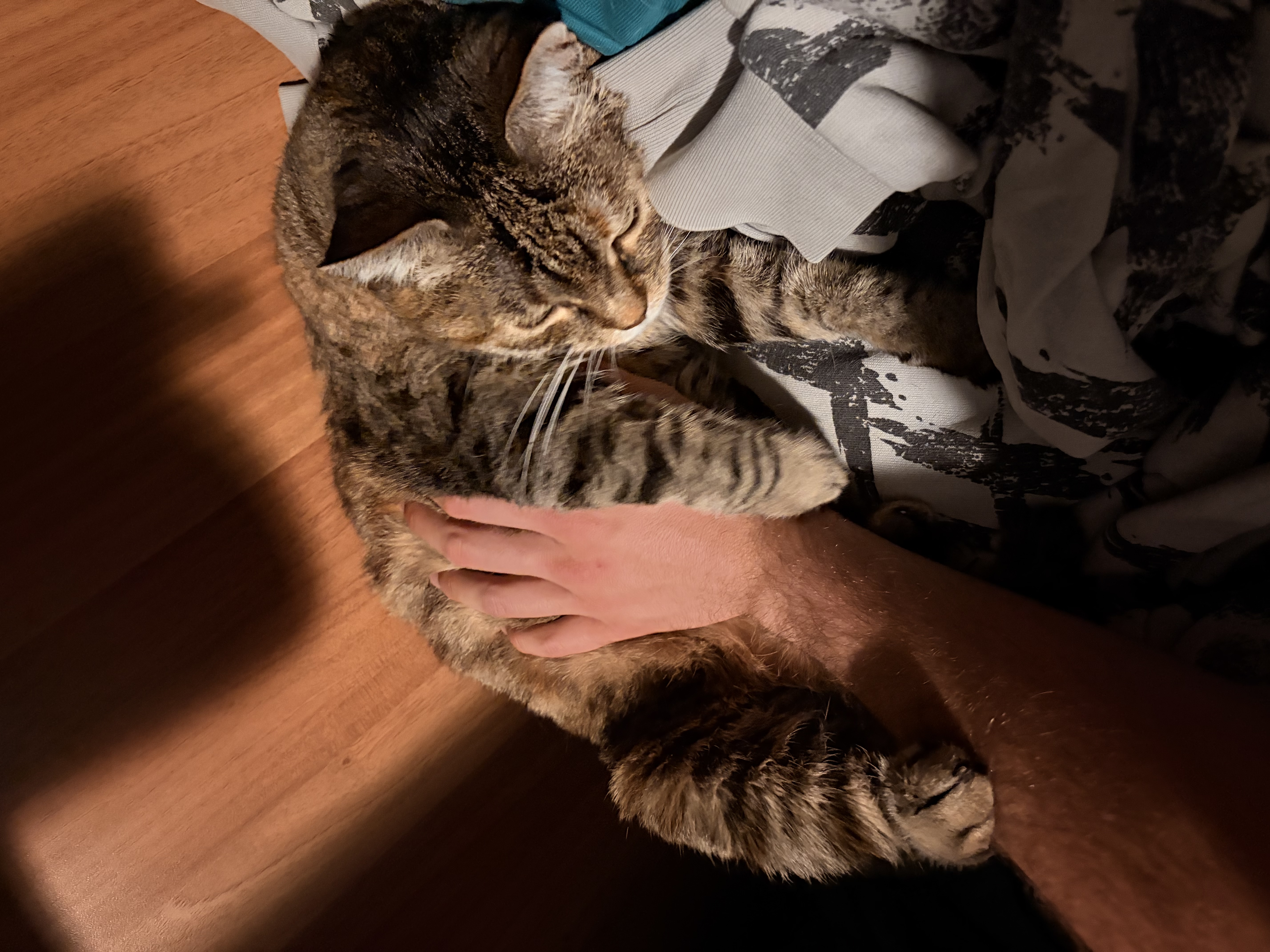 image-5