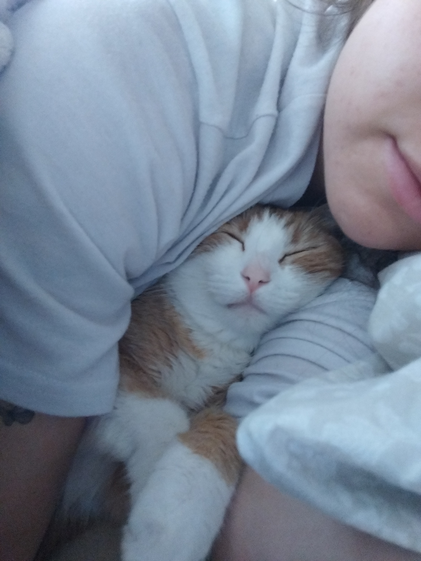 image-8