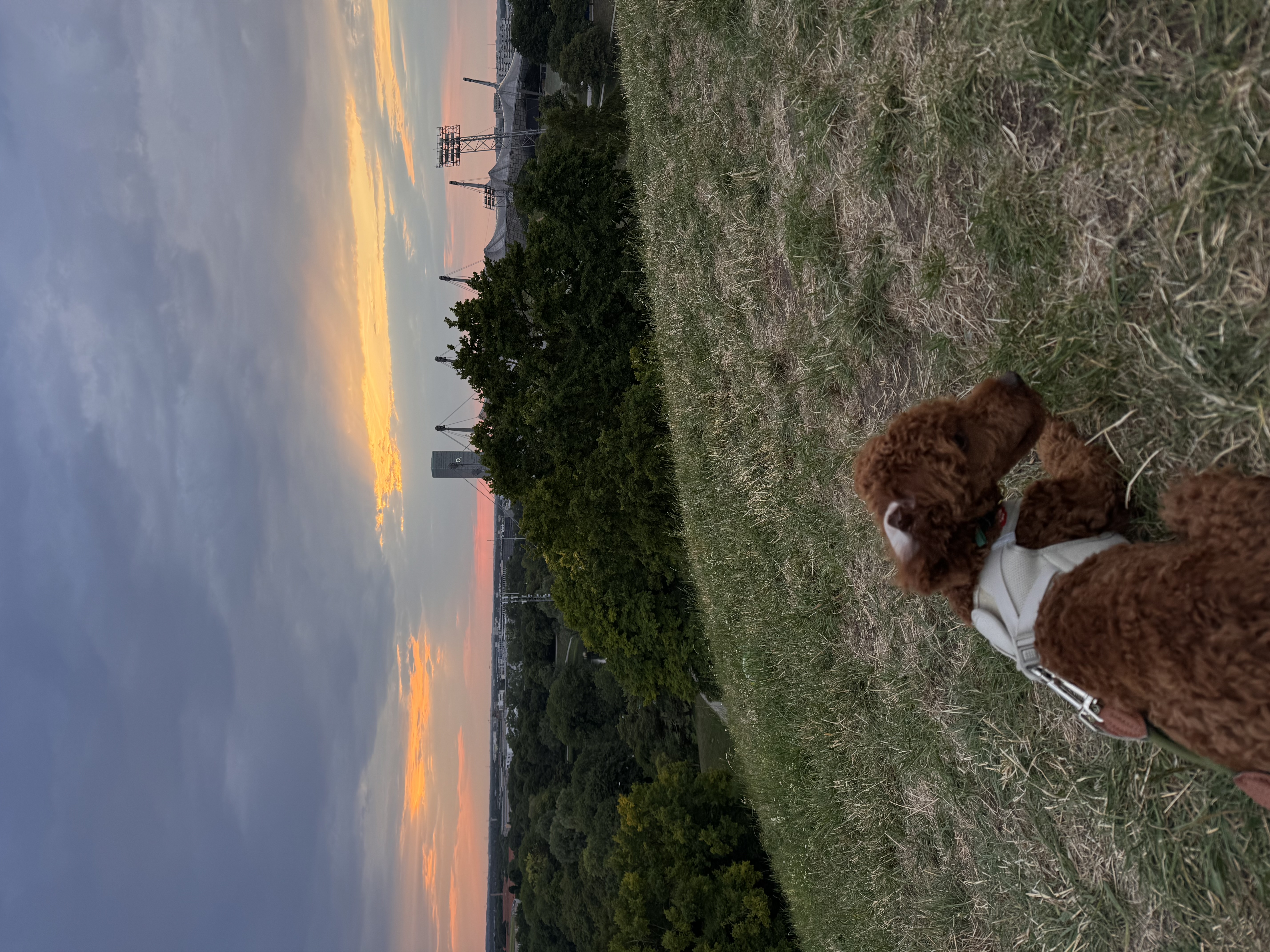image-8