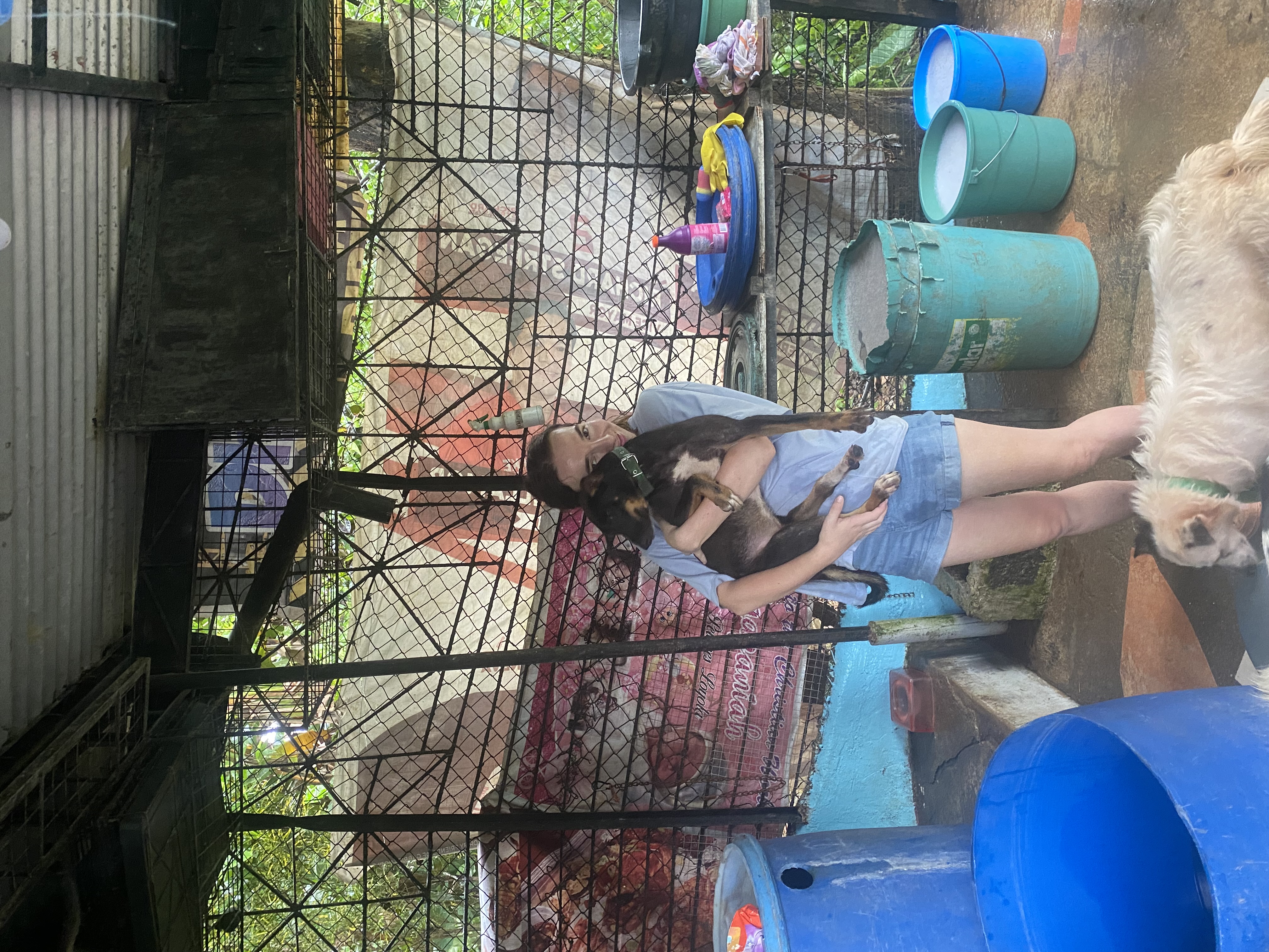 image-7