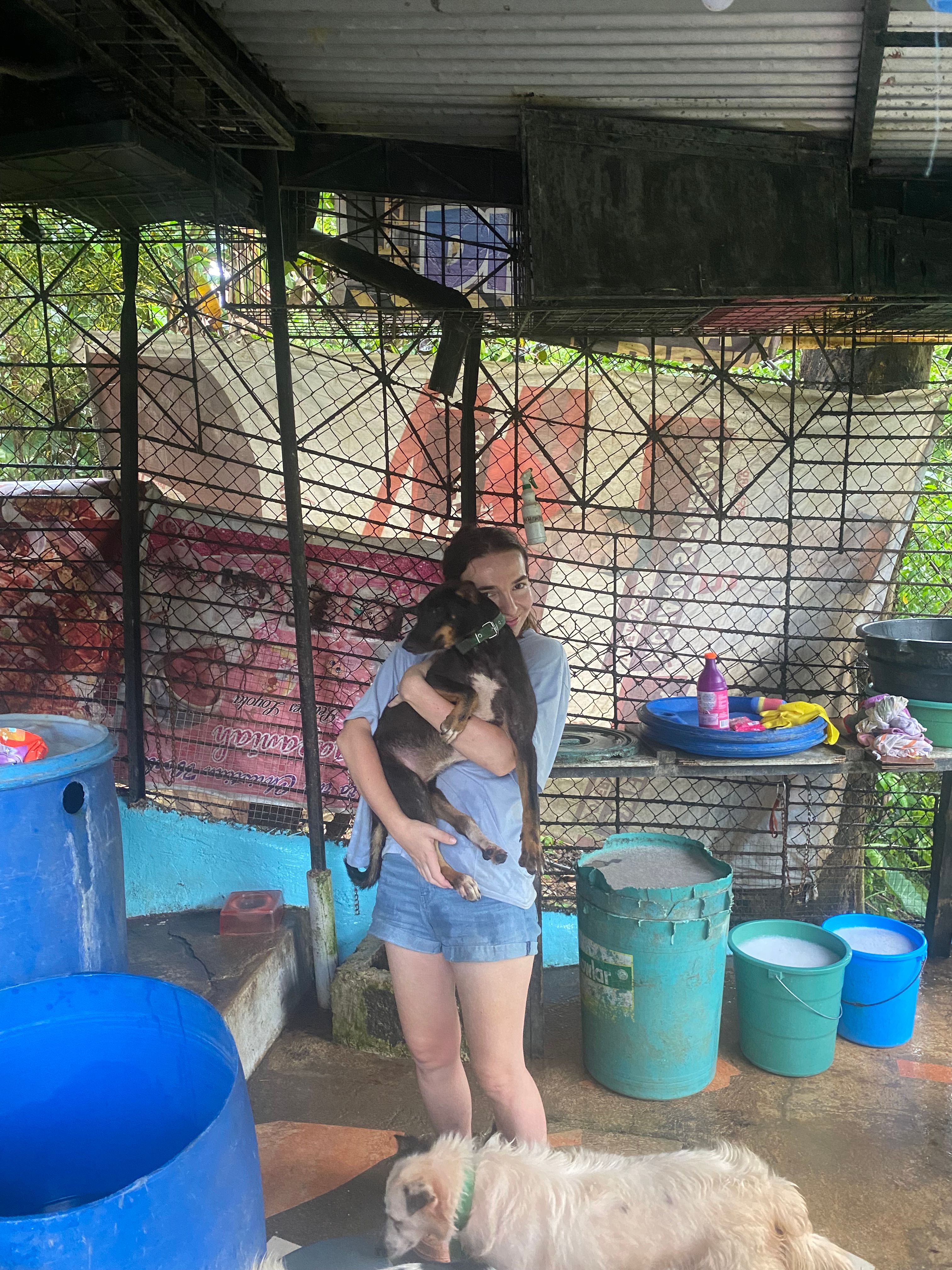 image-7