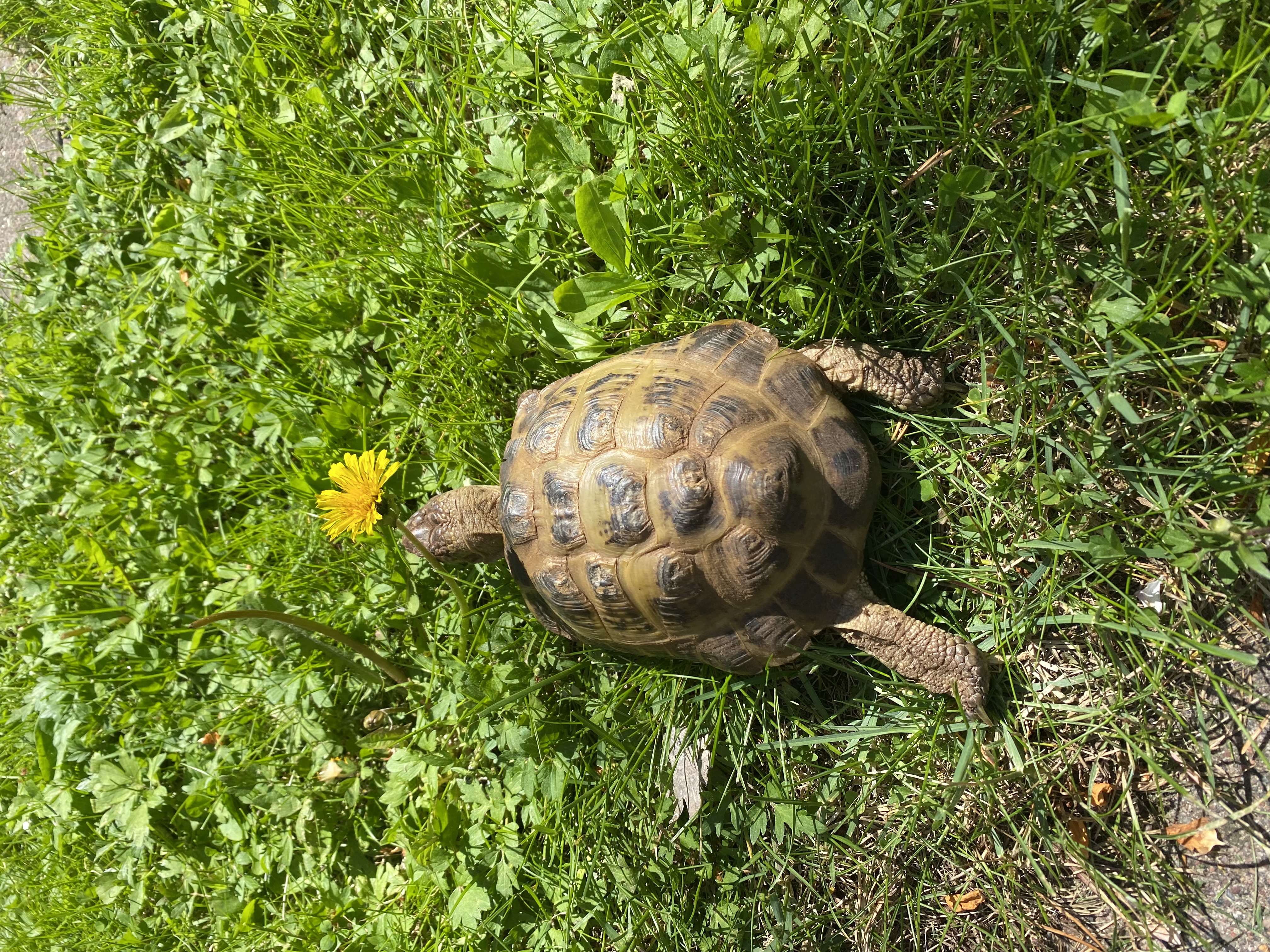 image-12