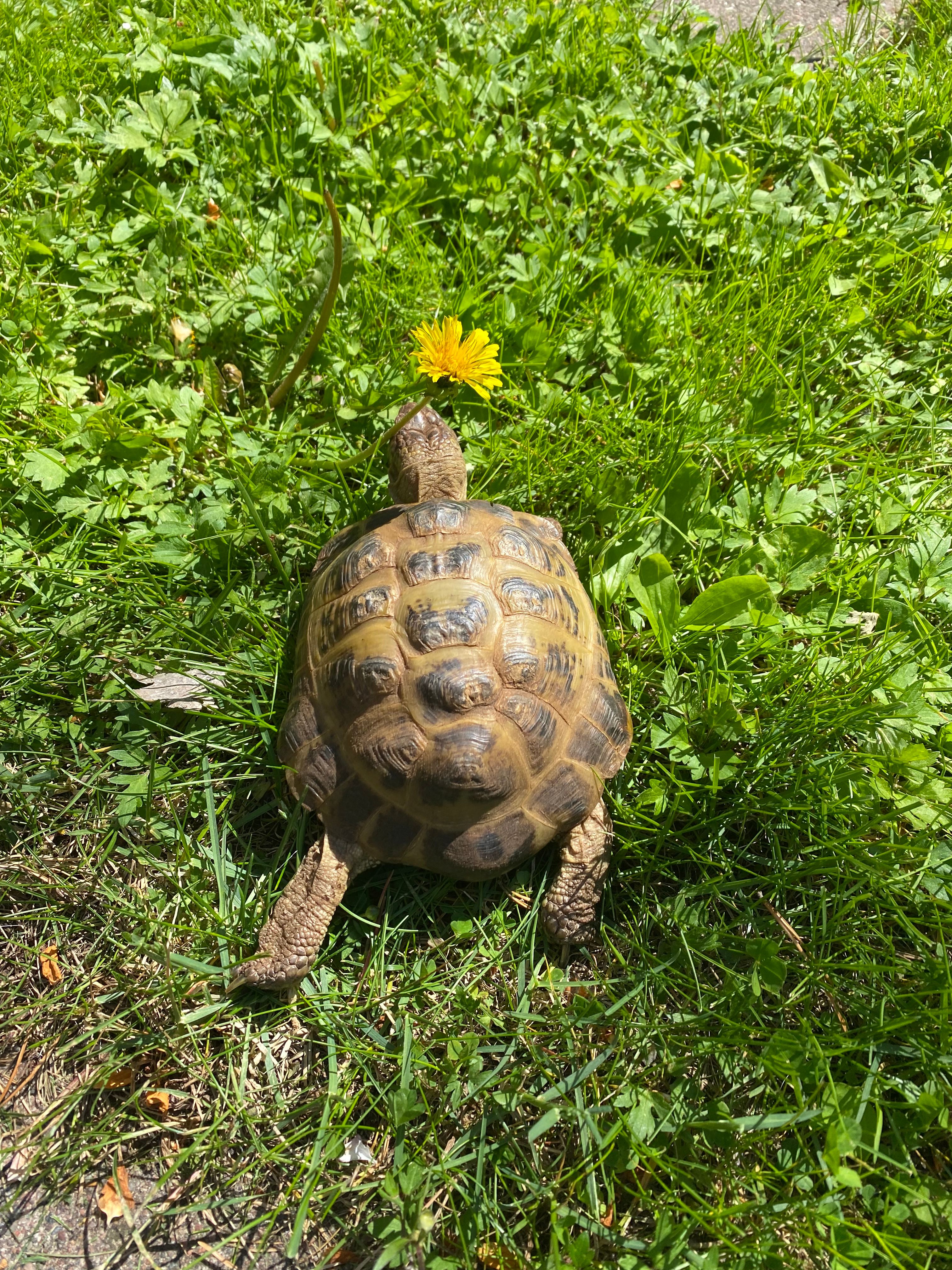 image-12