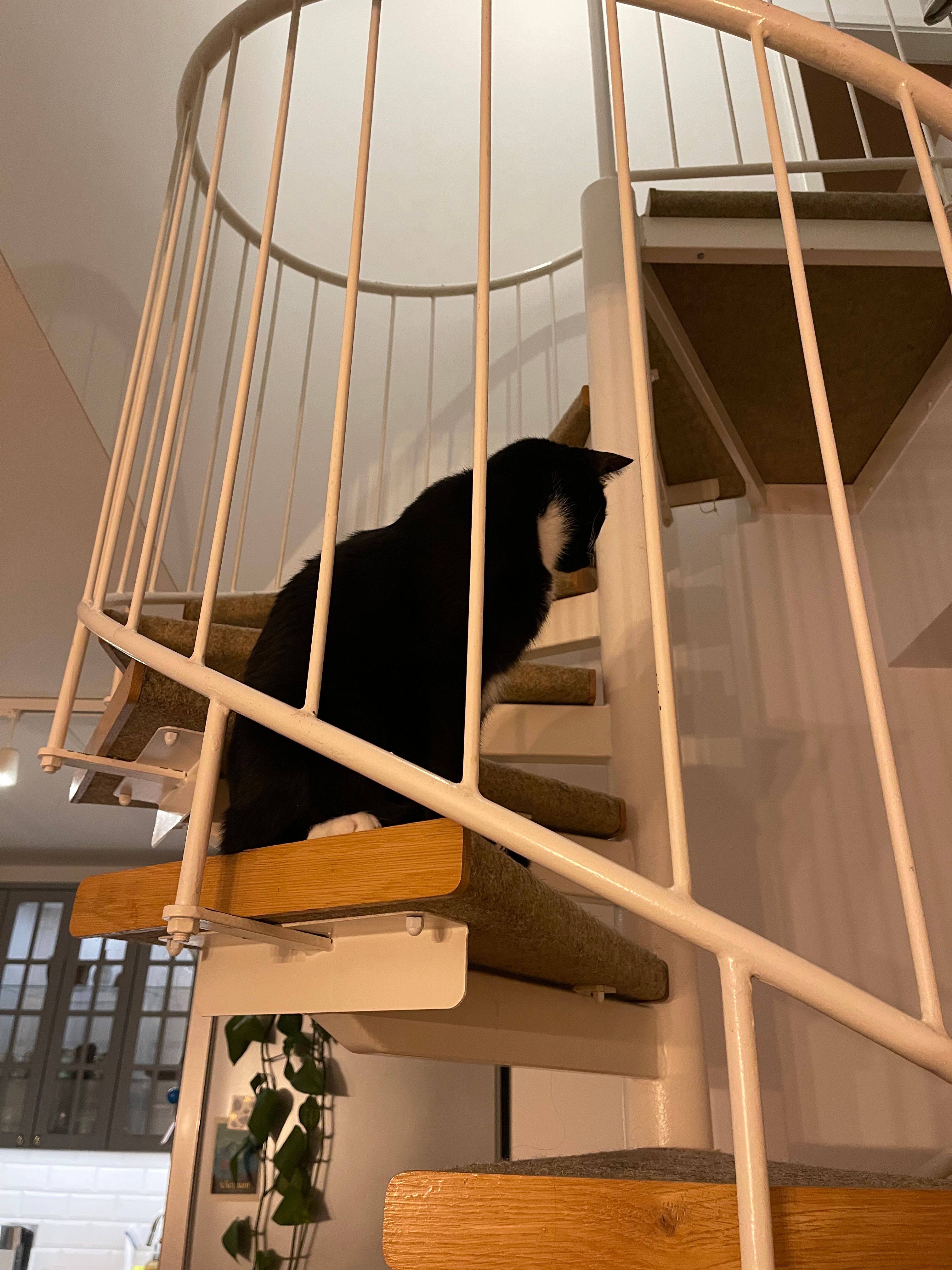 image-16