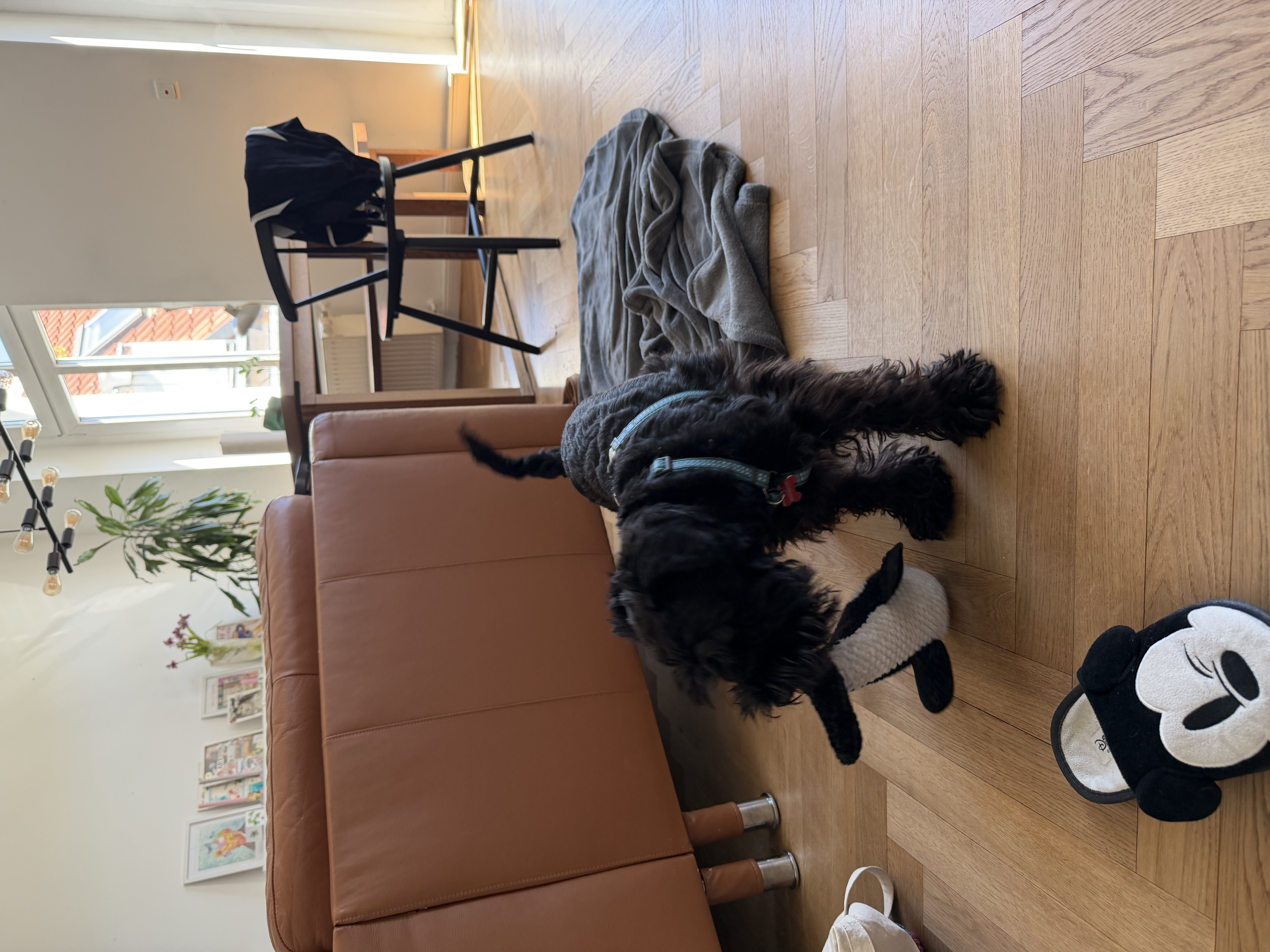 image-17