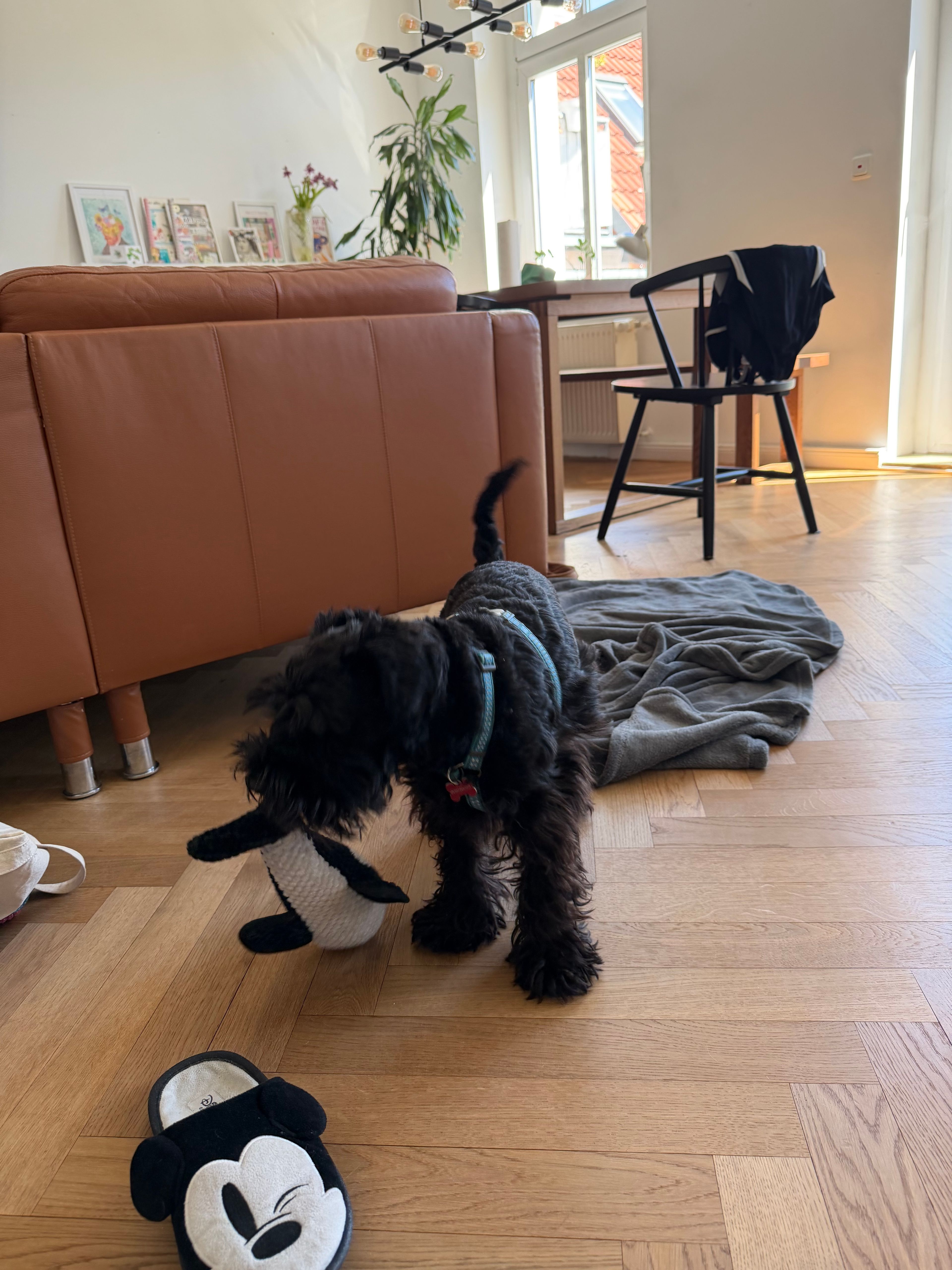 image-17