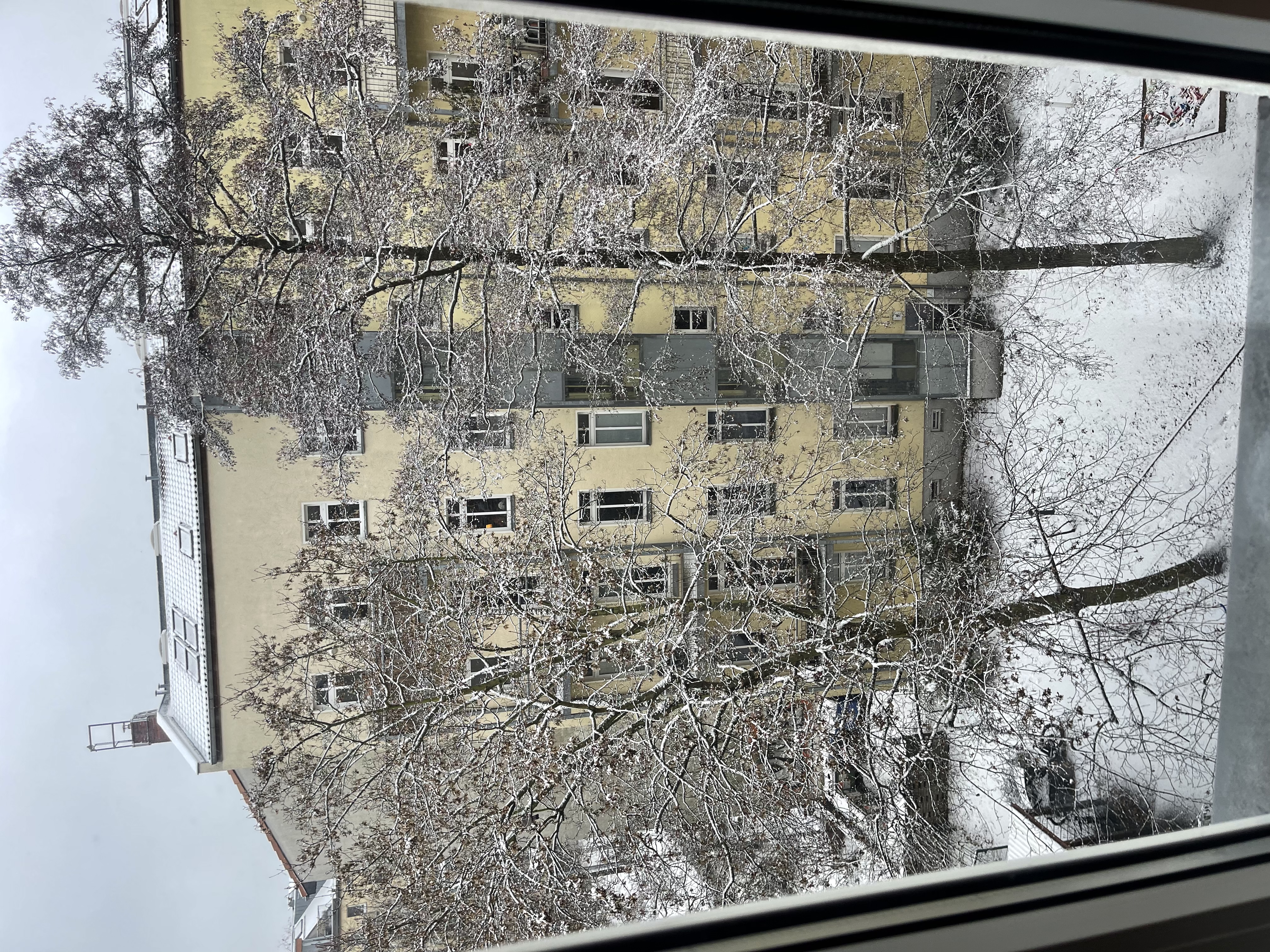 image-14