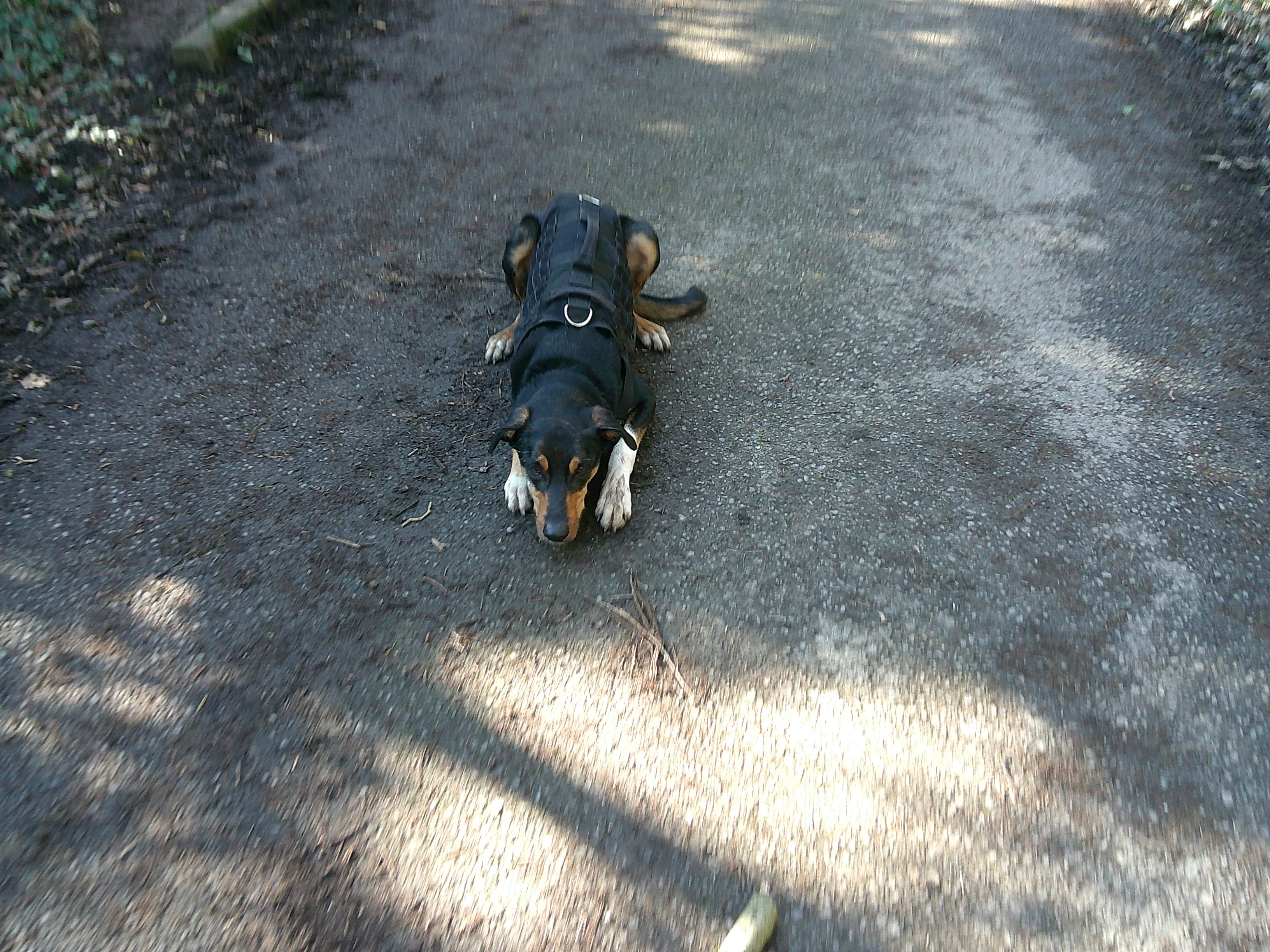 image-7