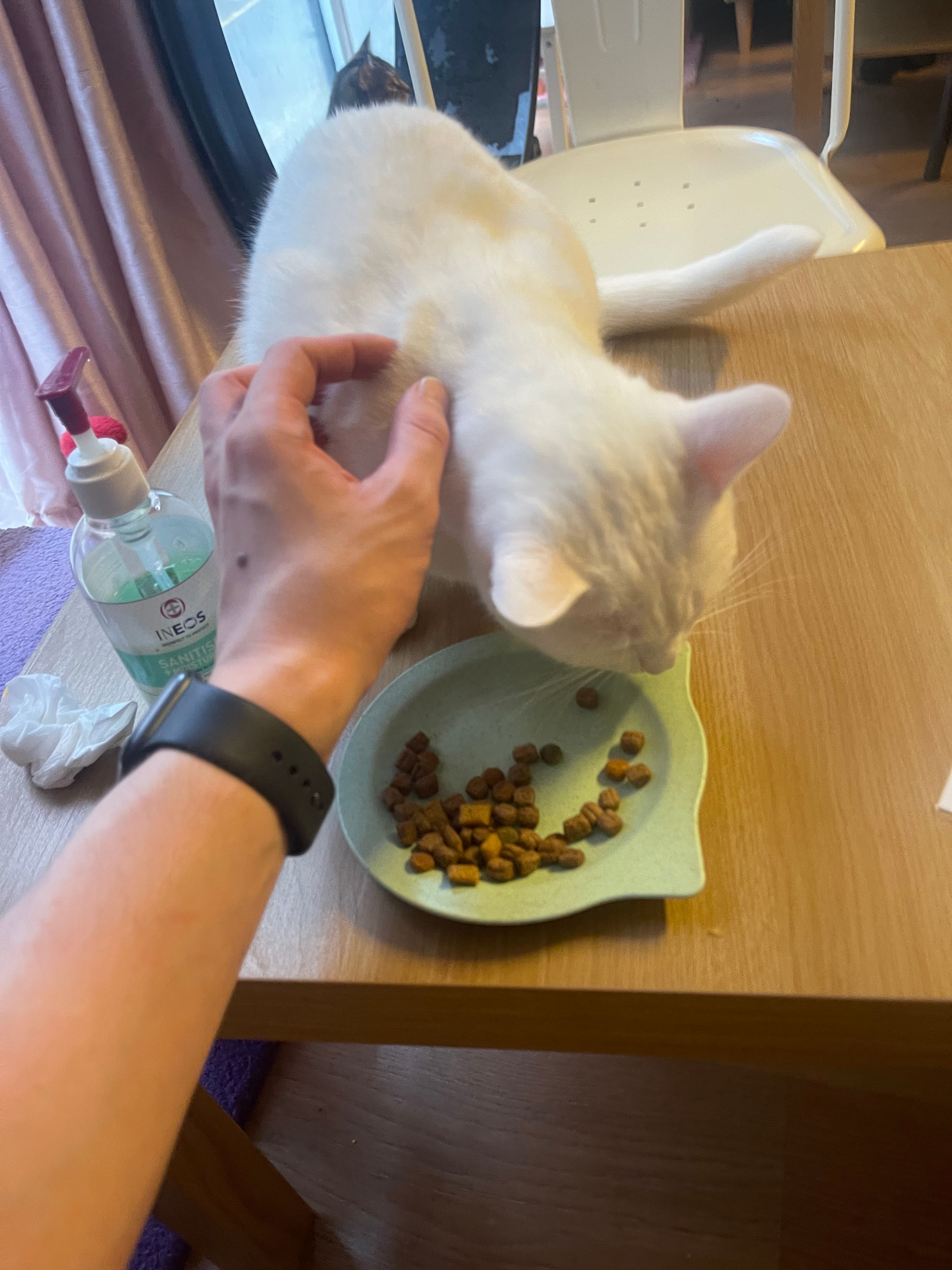 image-9