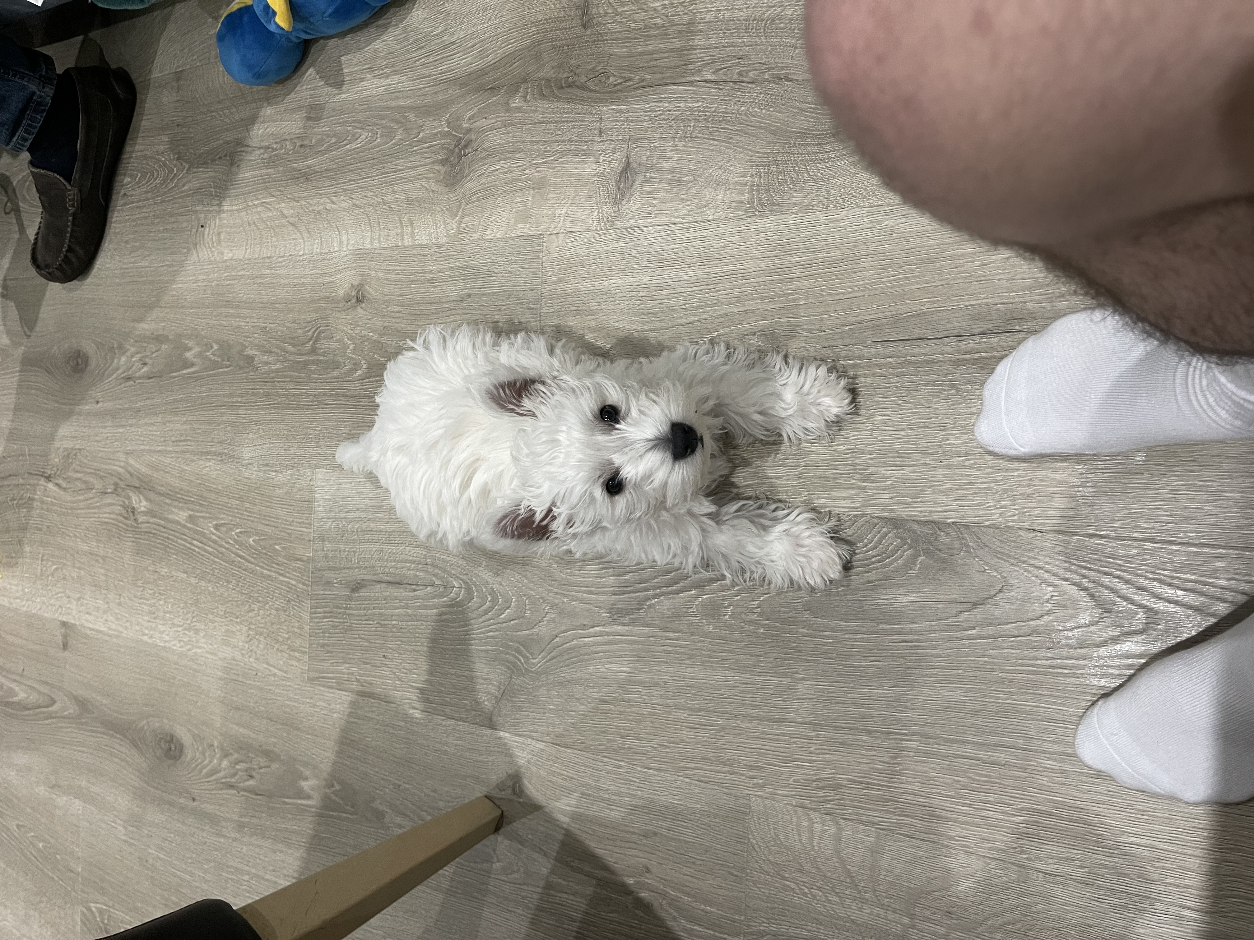 image-6
