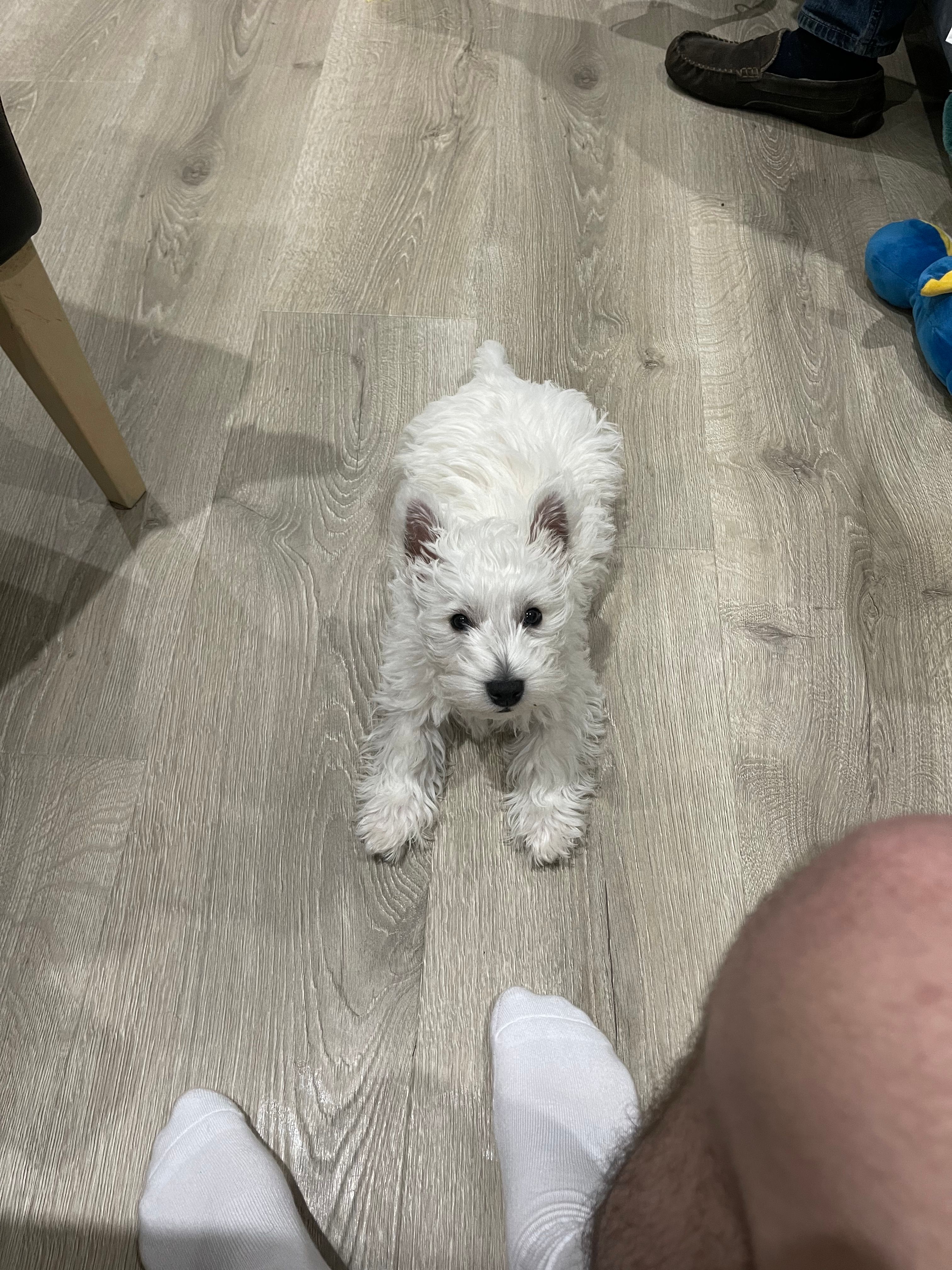 image-6