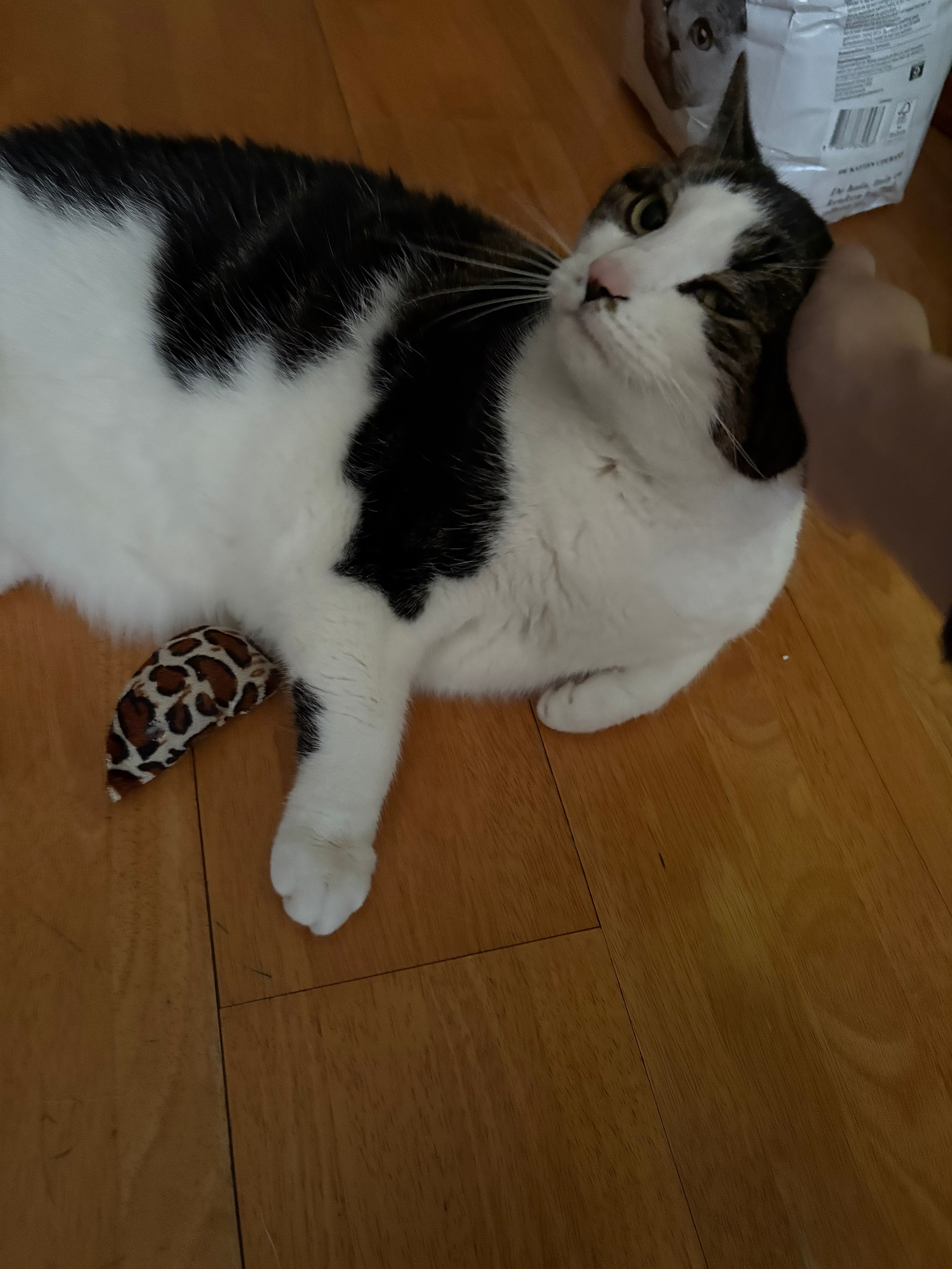 image-6