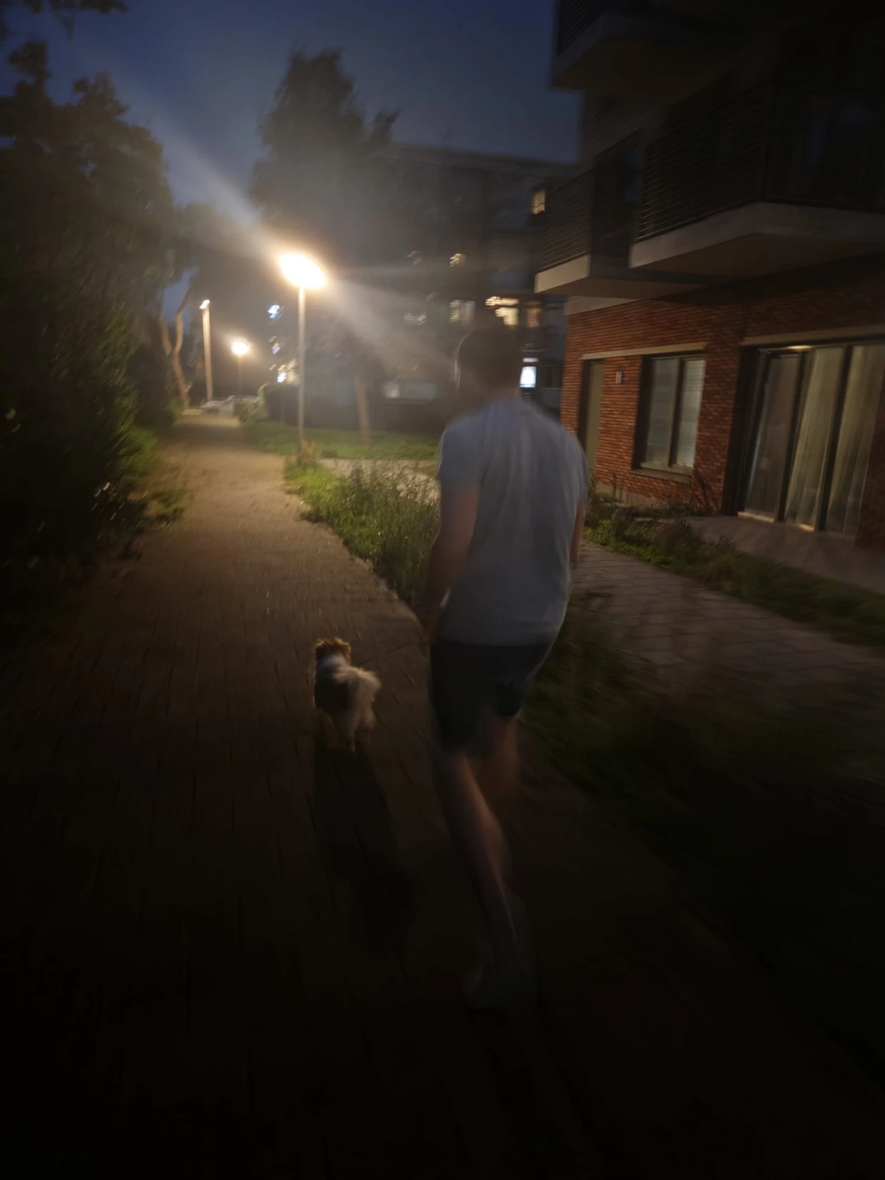 image-8