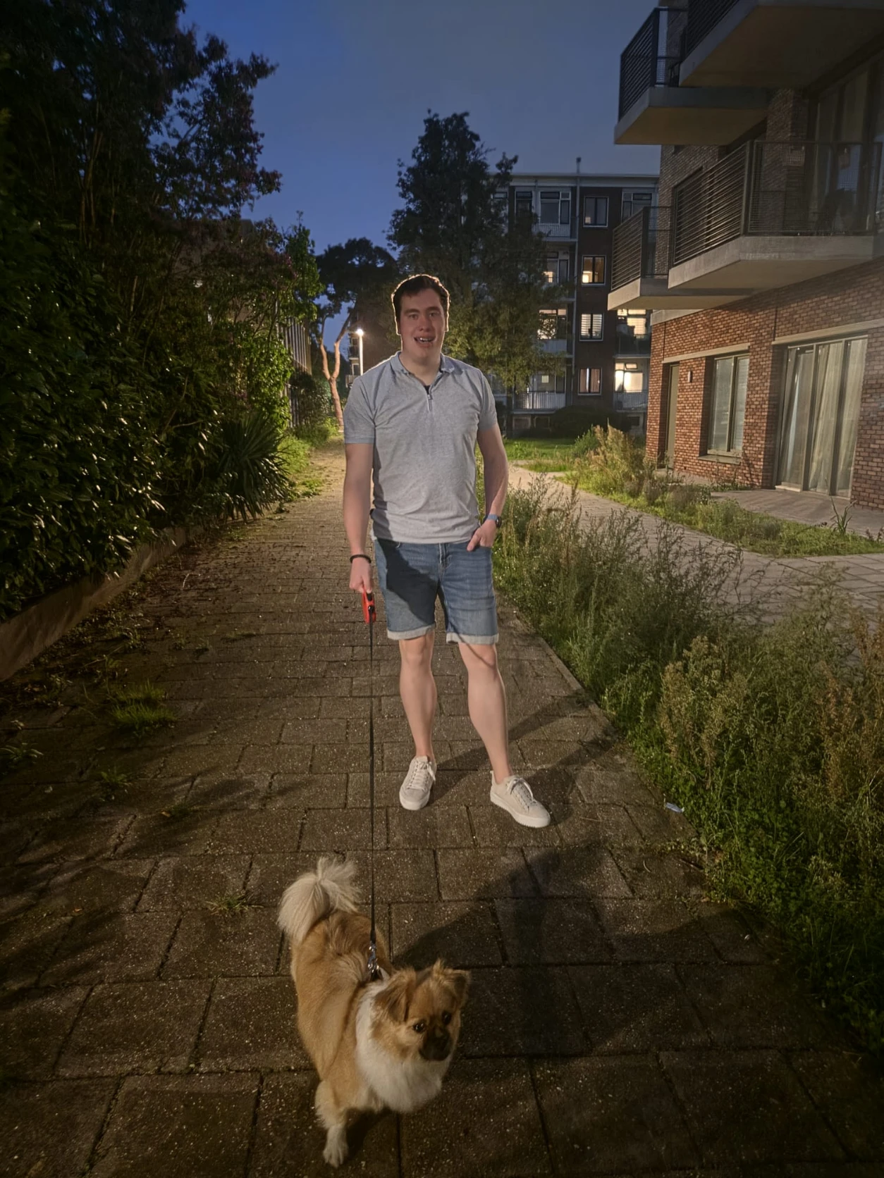 image-7