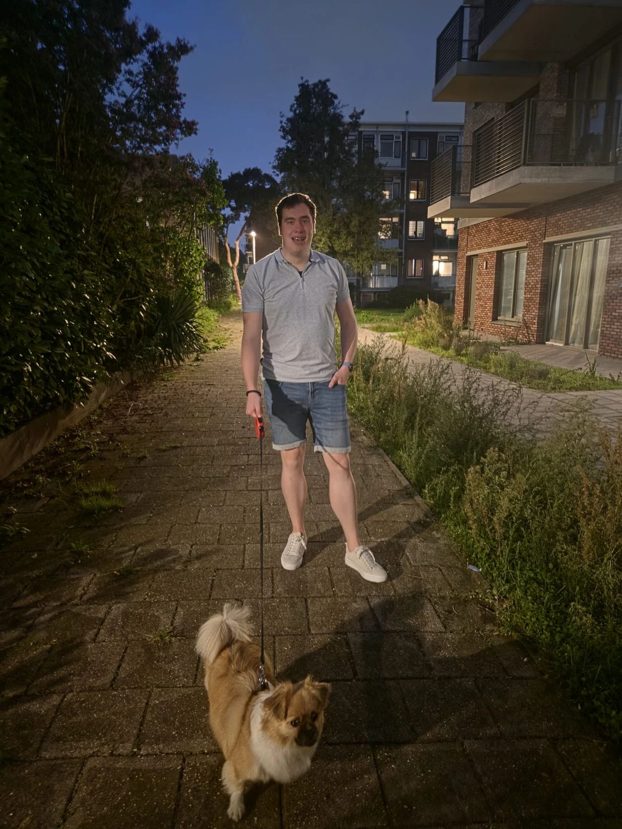 image-7