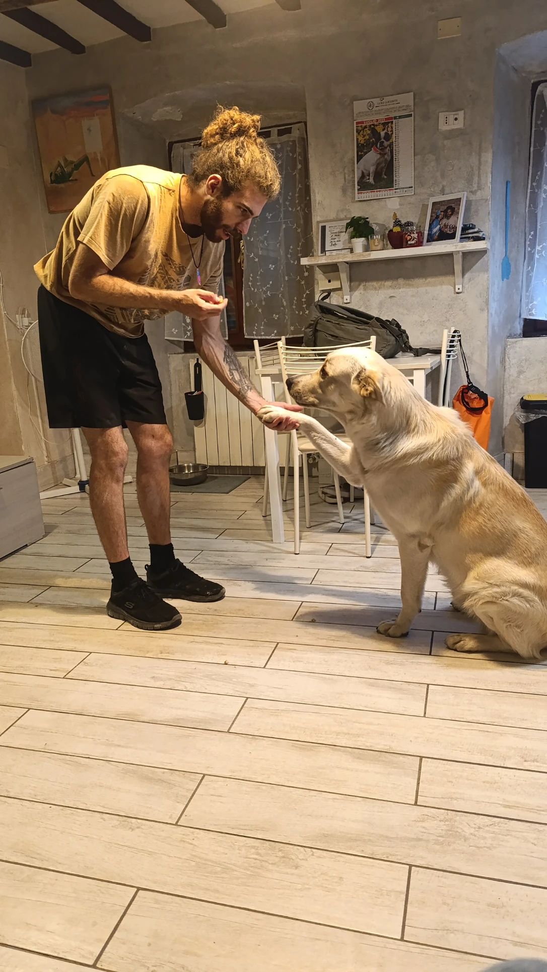image-18