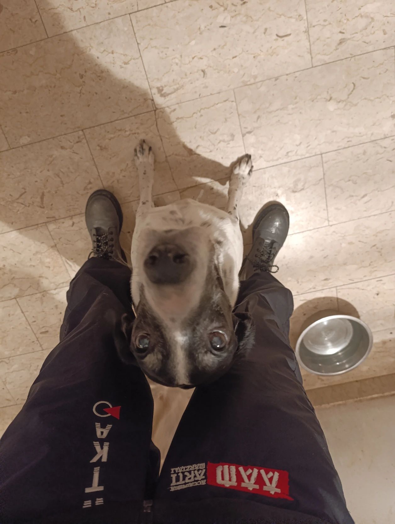 image-9