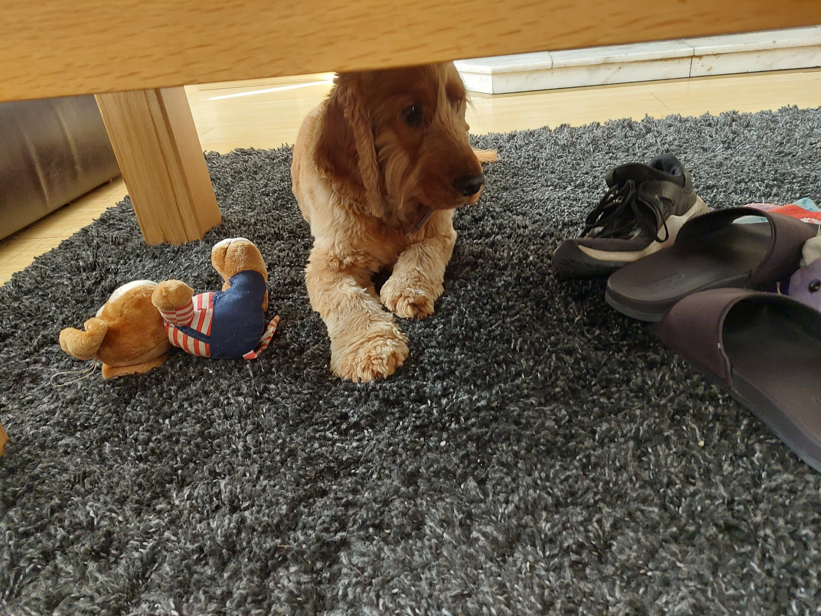 image-7