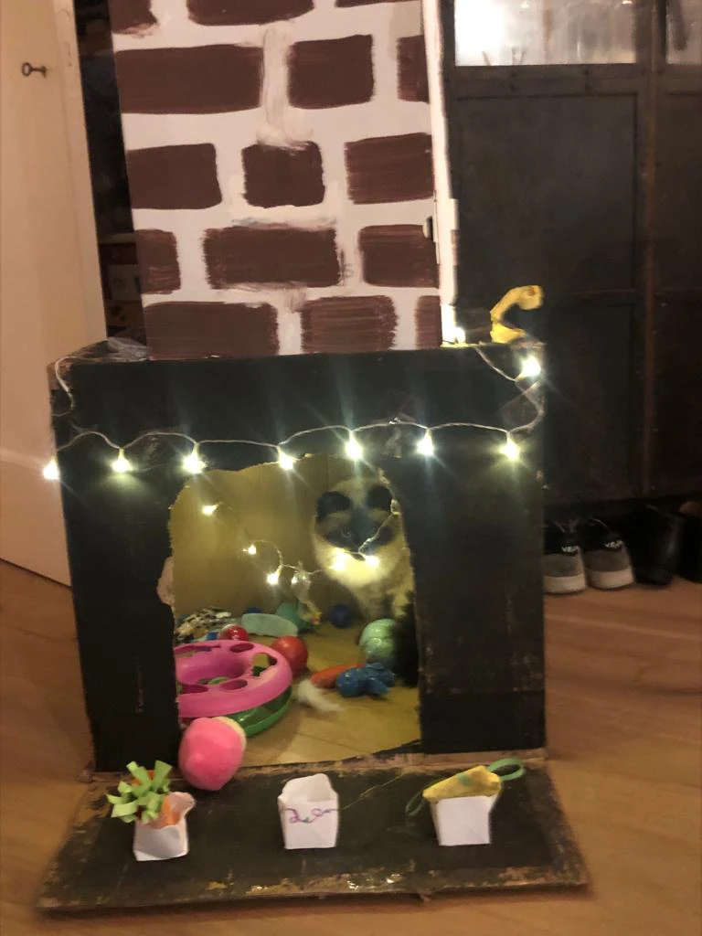 image-17