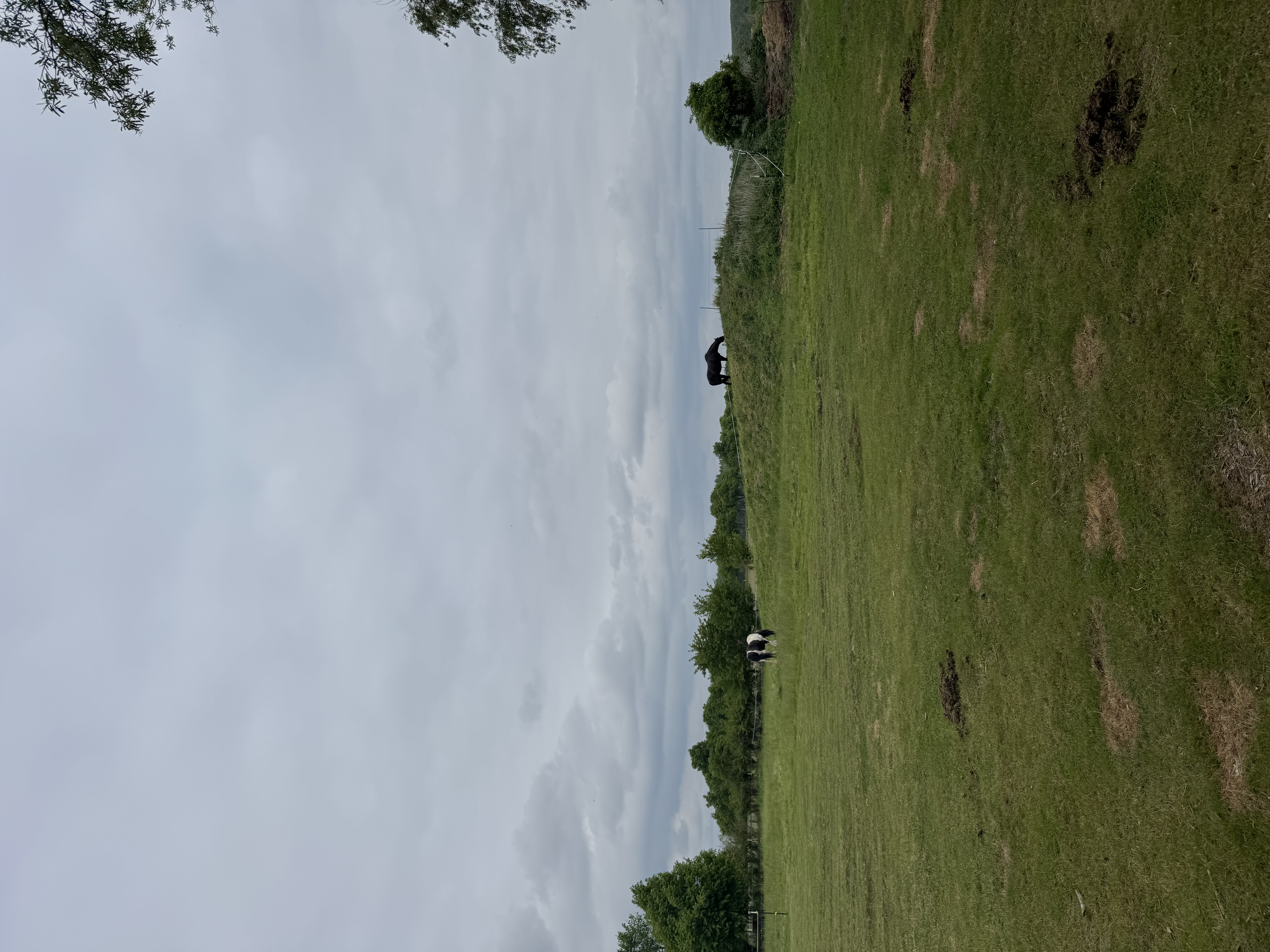 image-21