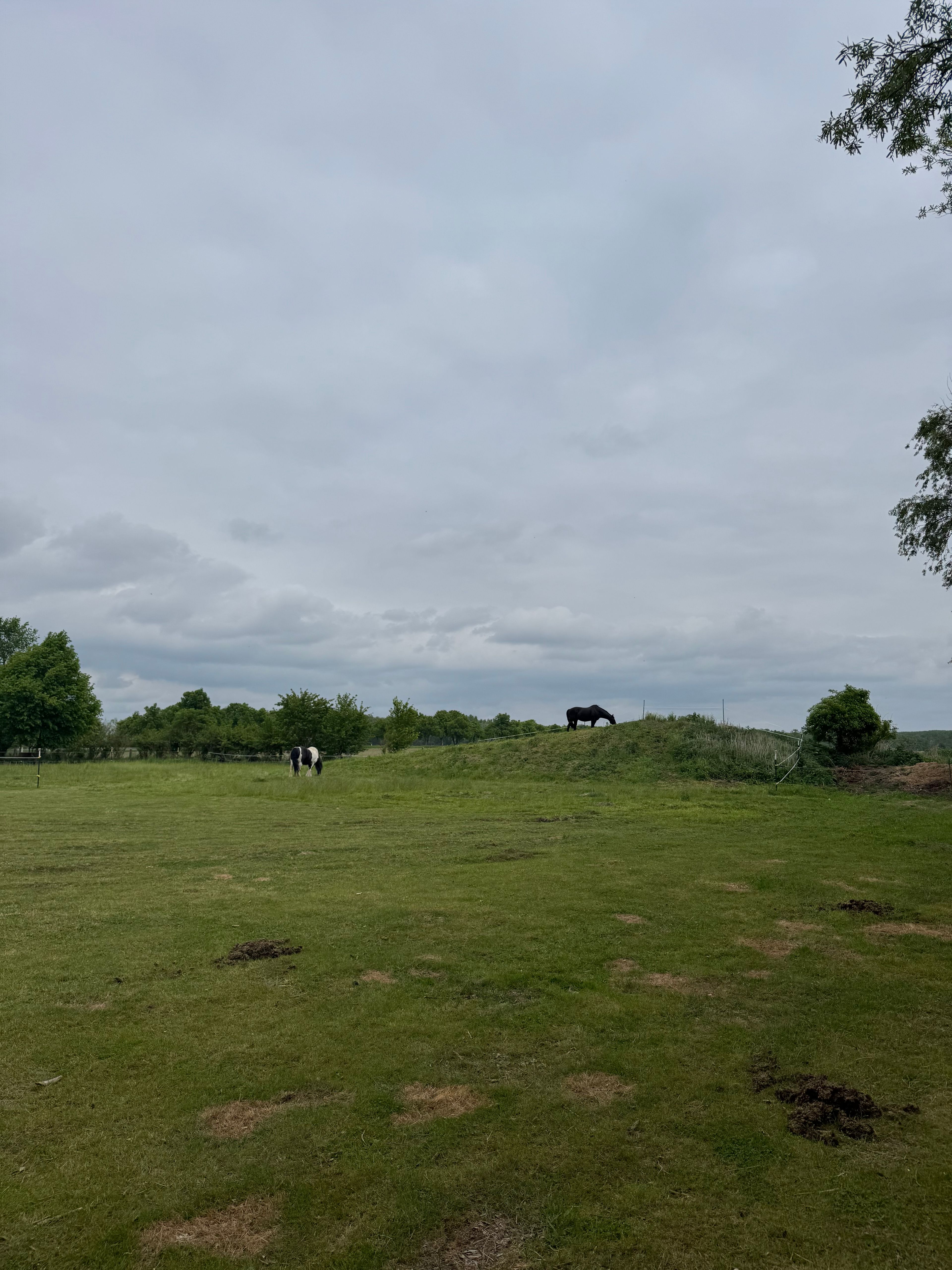 image-21