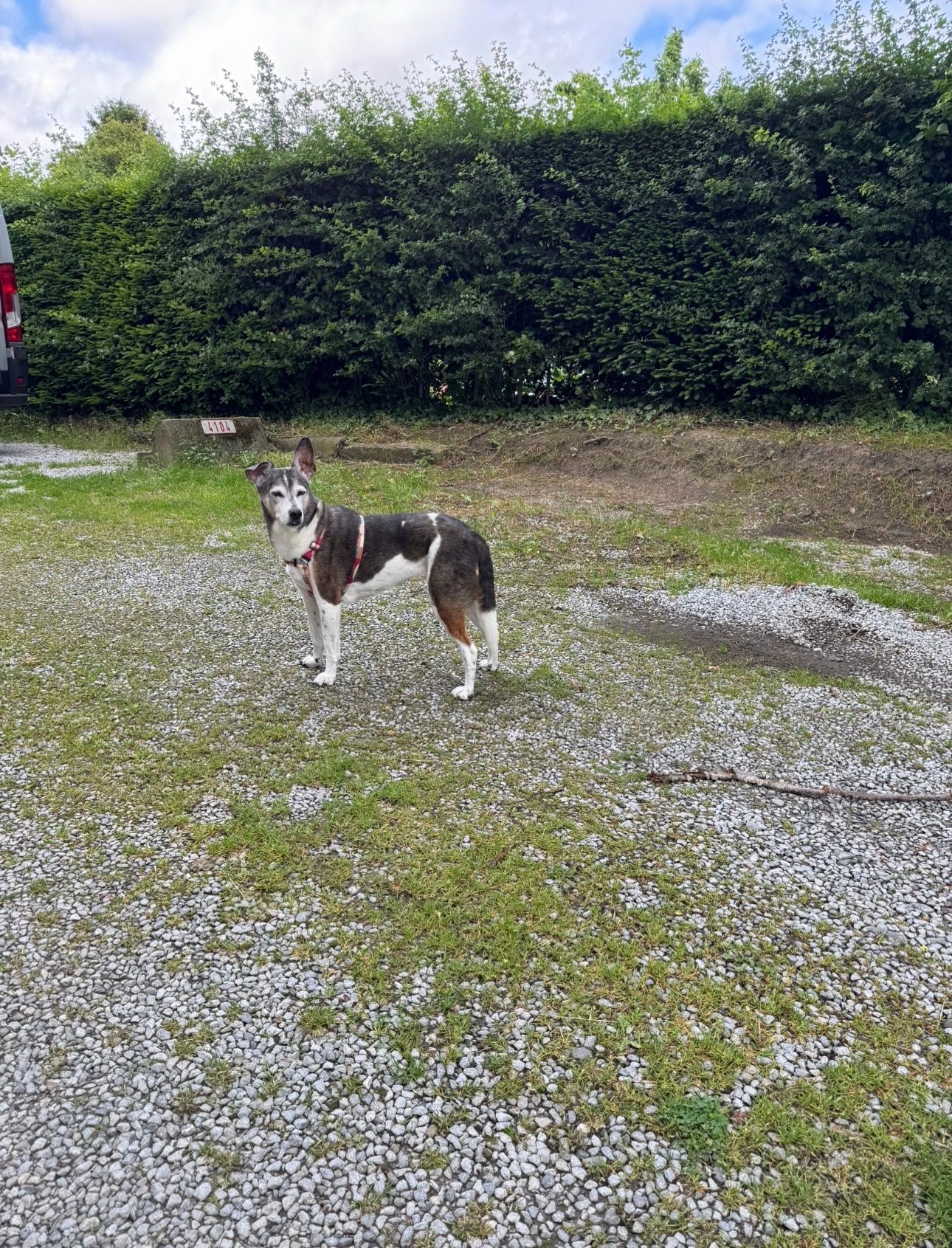 image-16