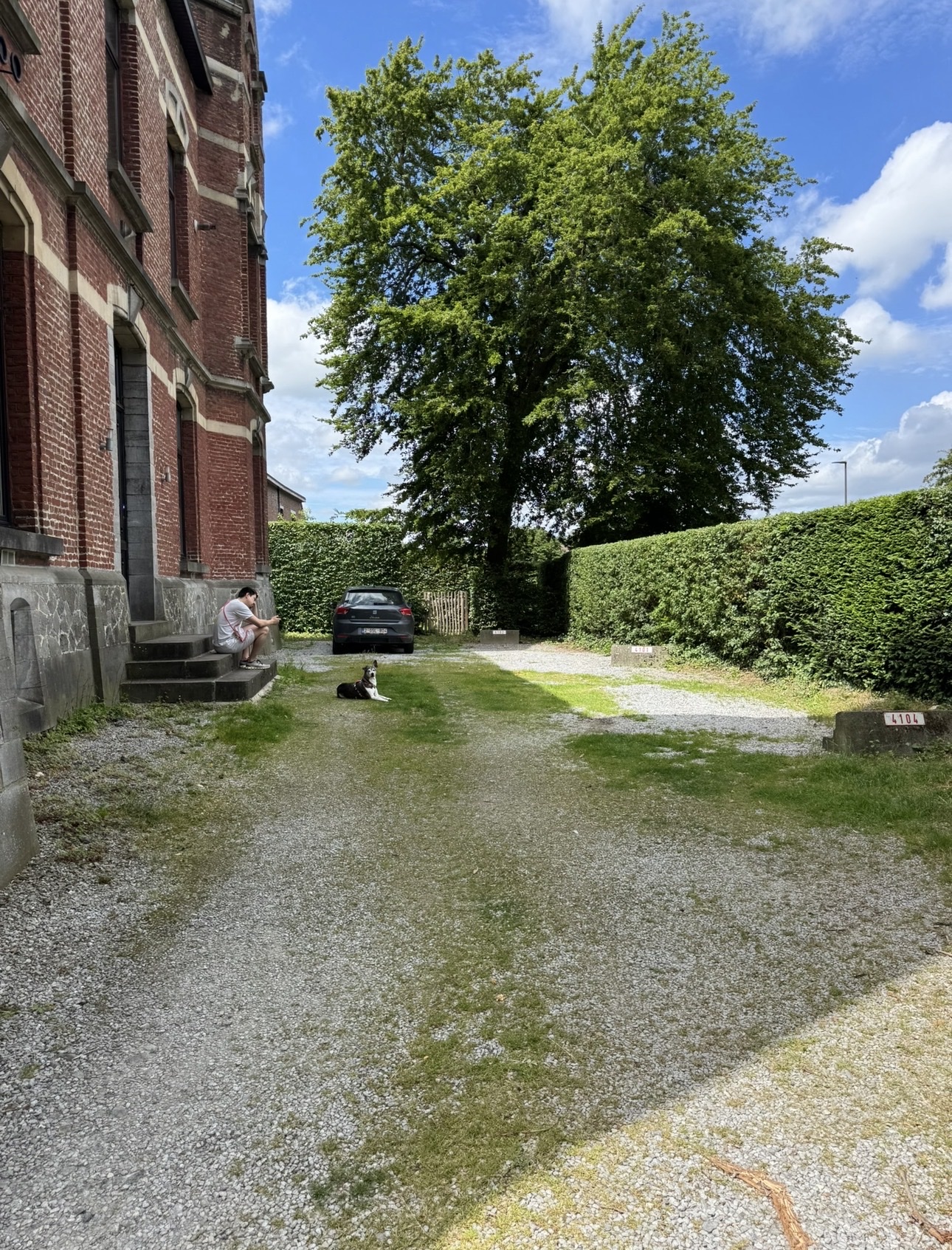image-15