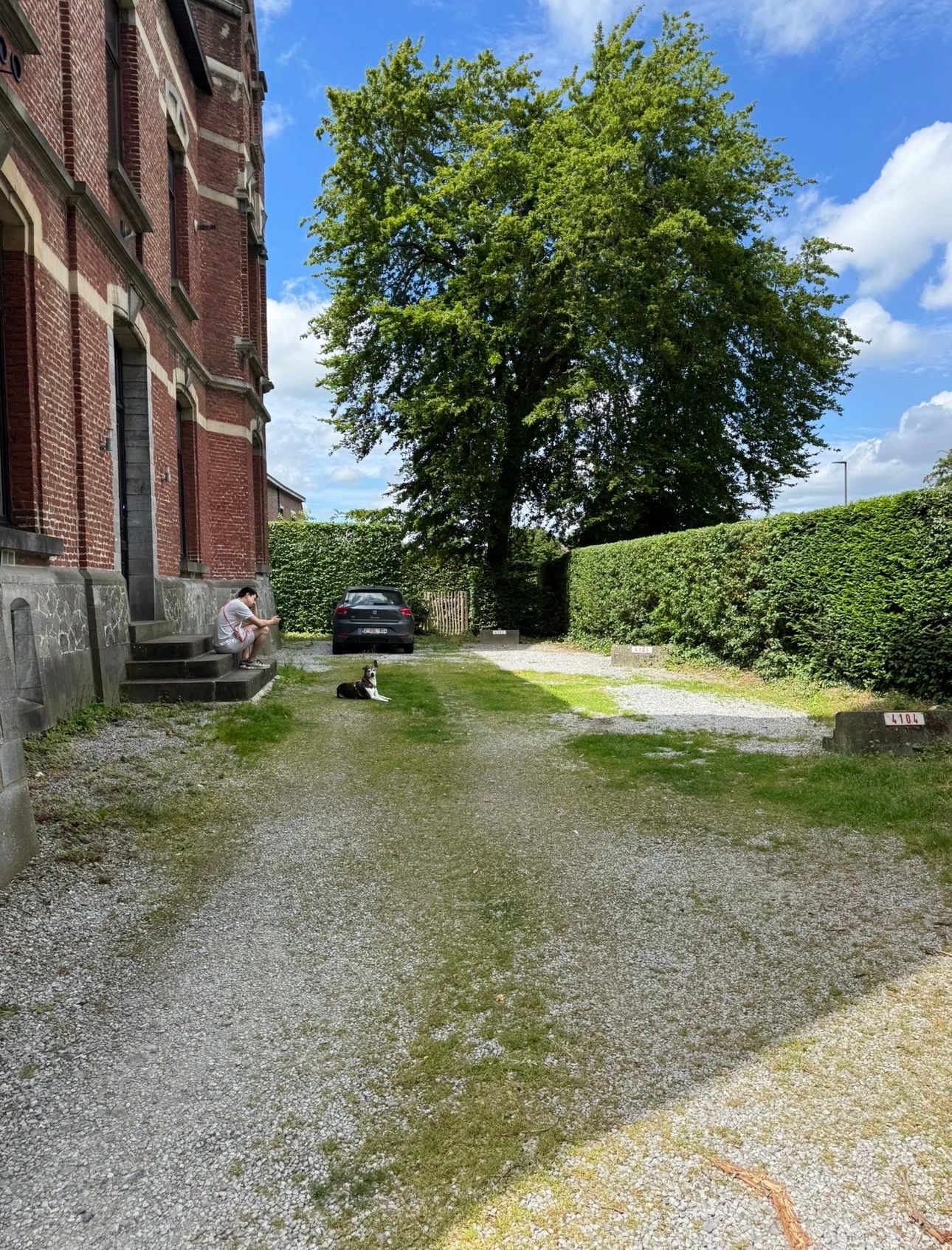 image-15