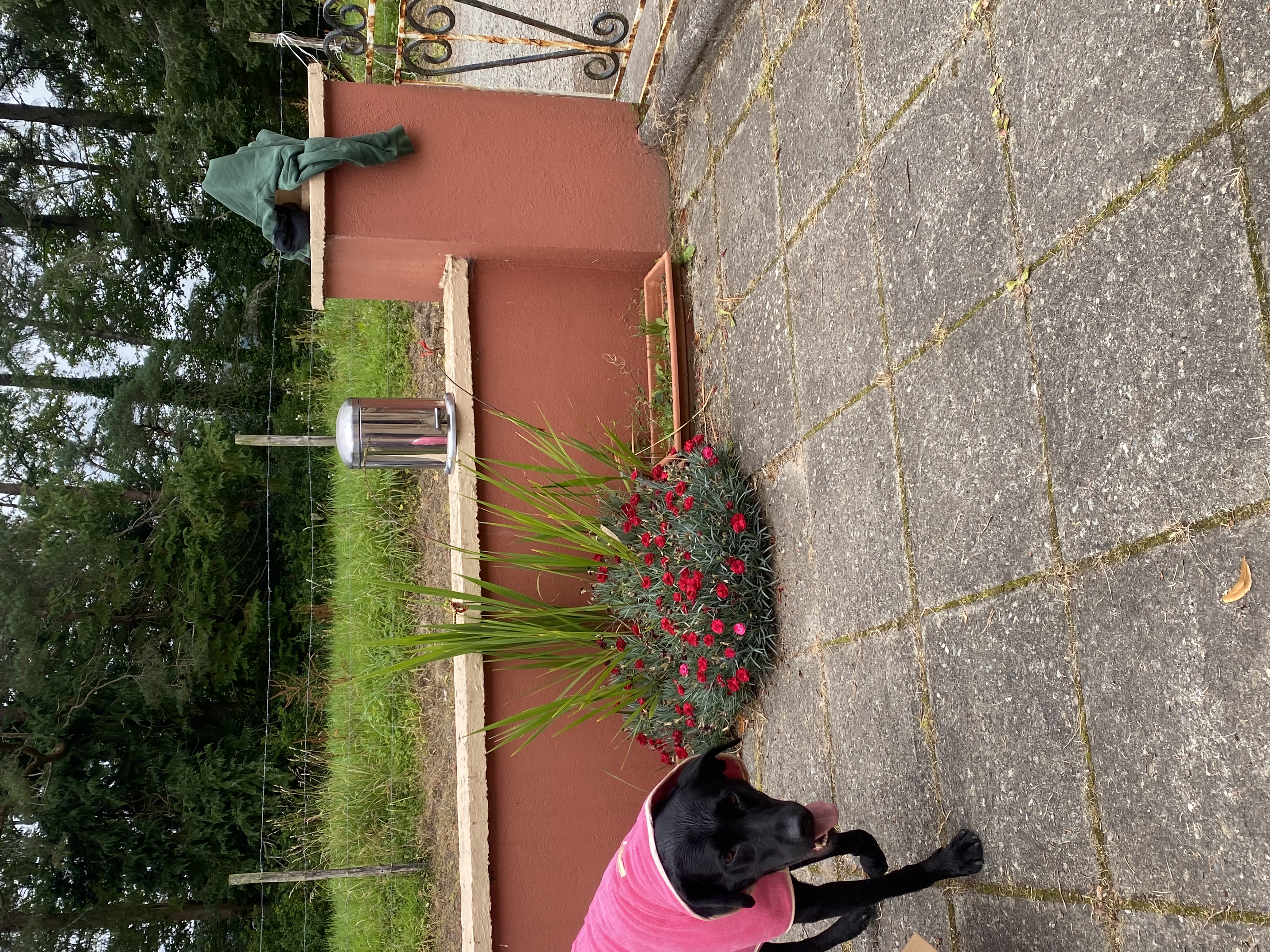 image-6