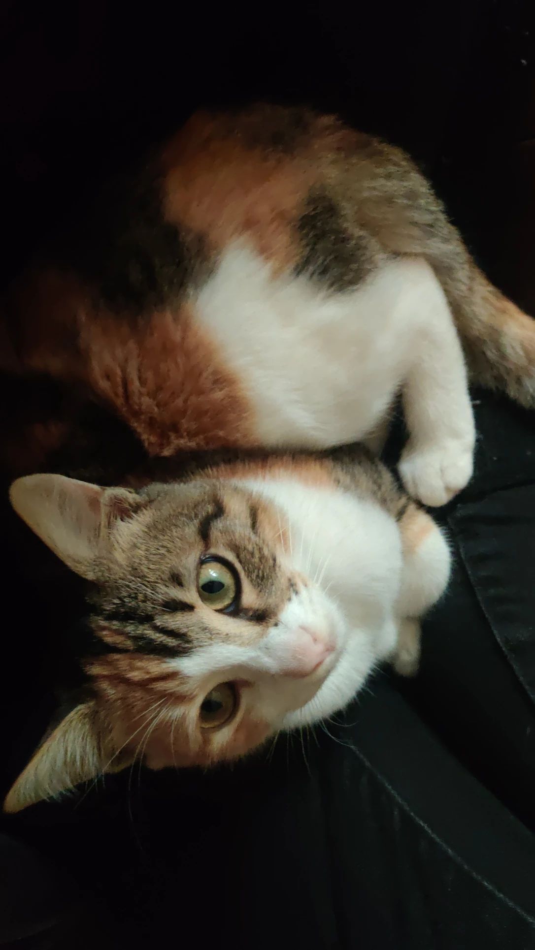 image-7