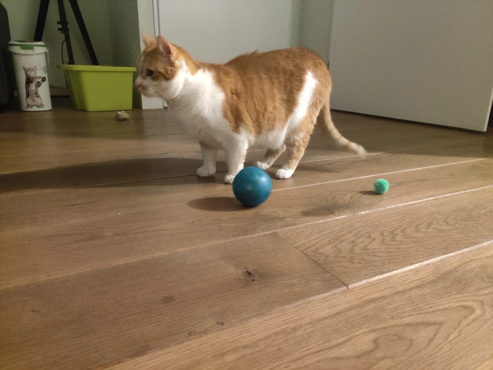 image-13