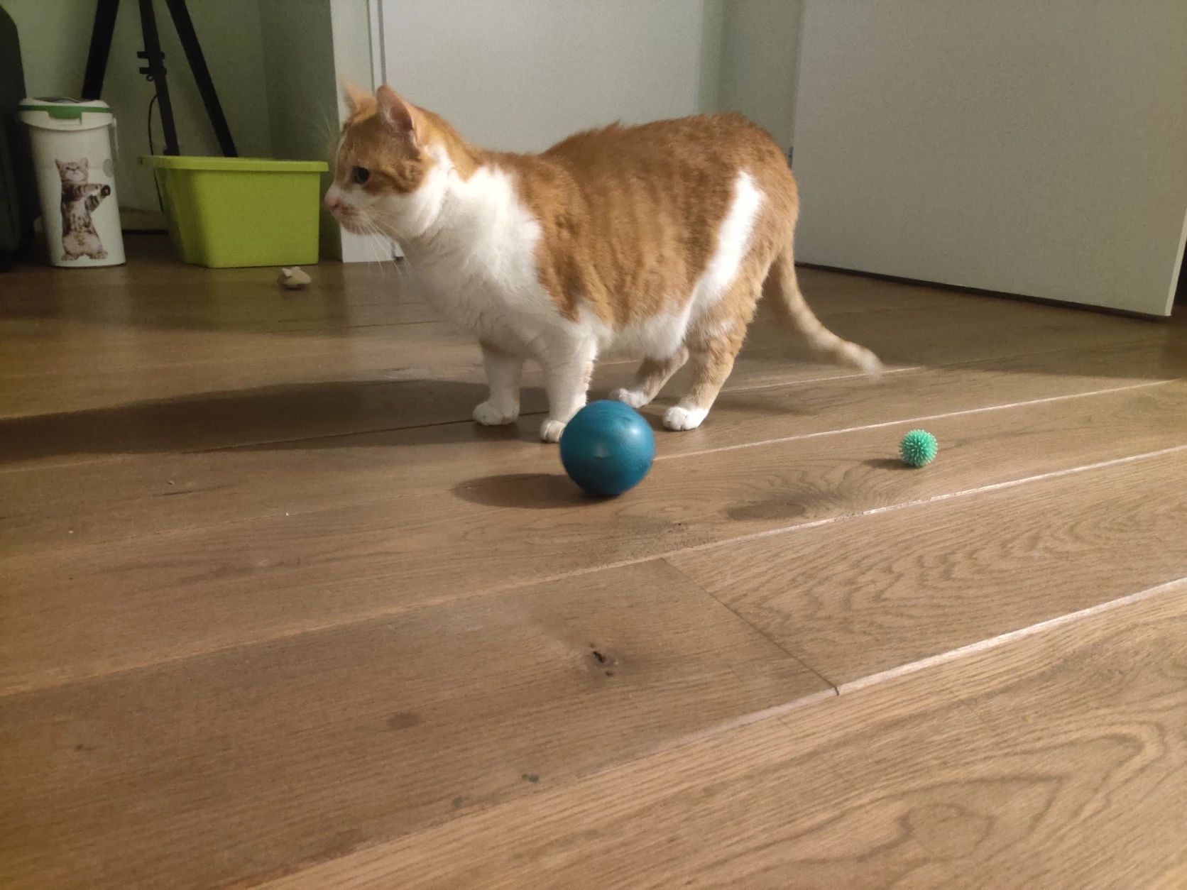 image-13